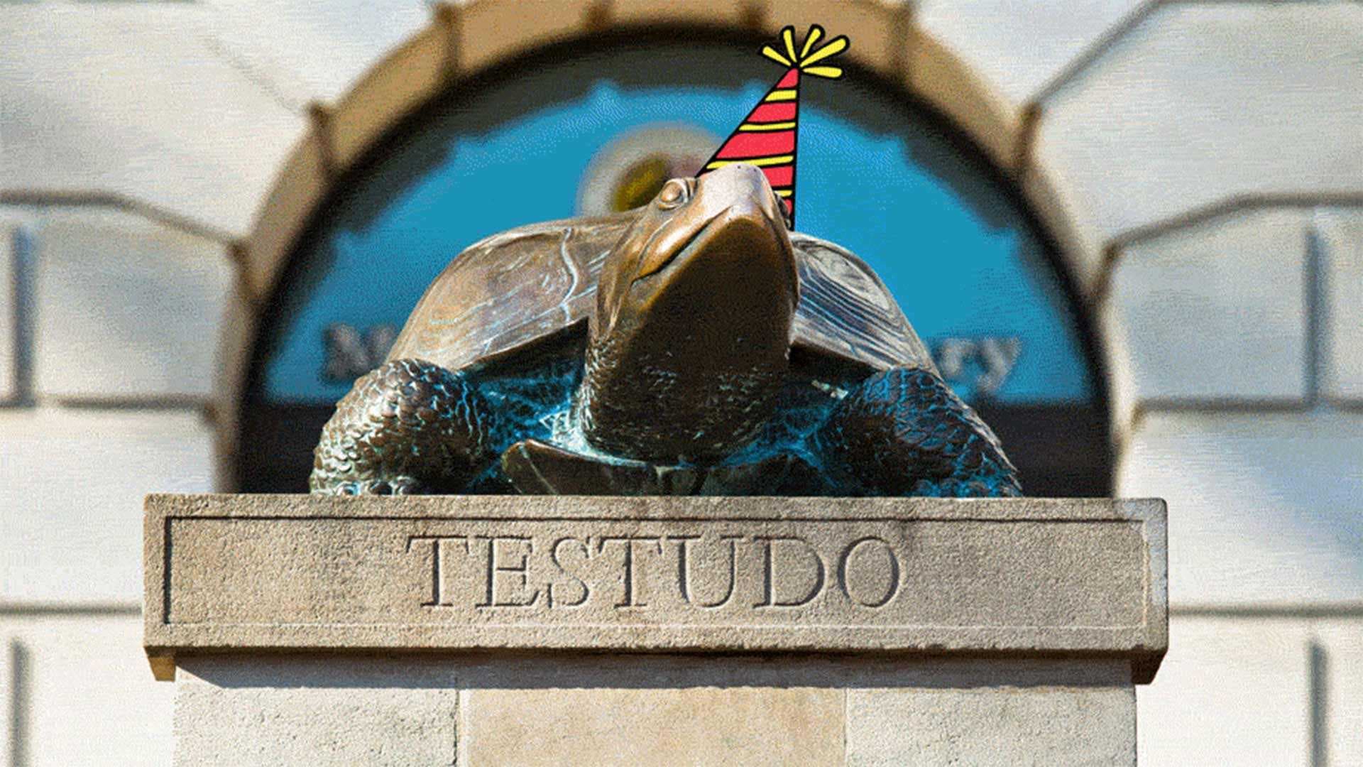 Testudo statue with birthday hat