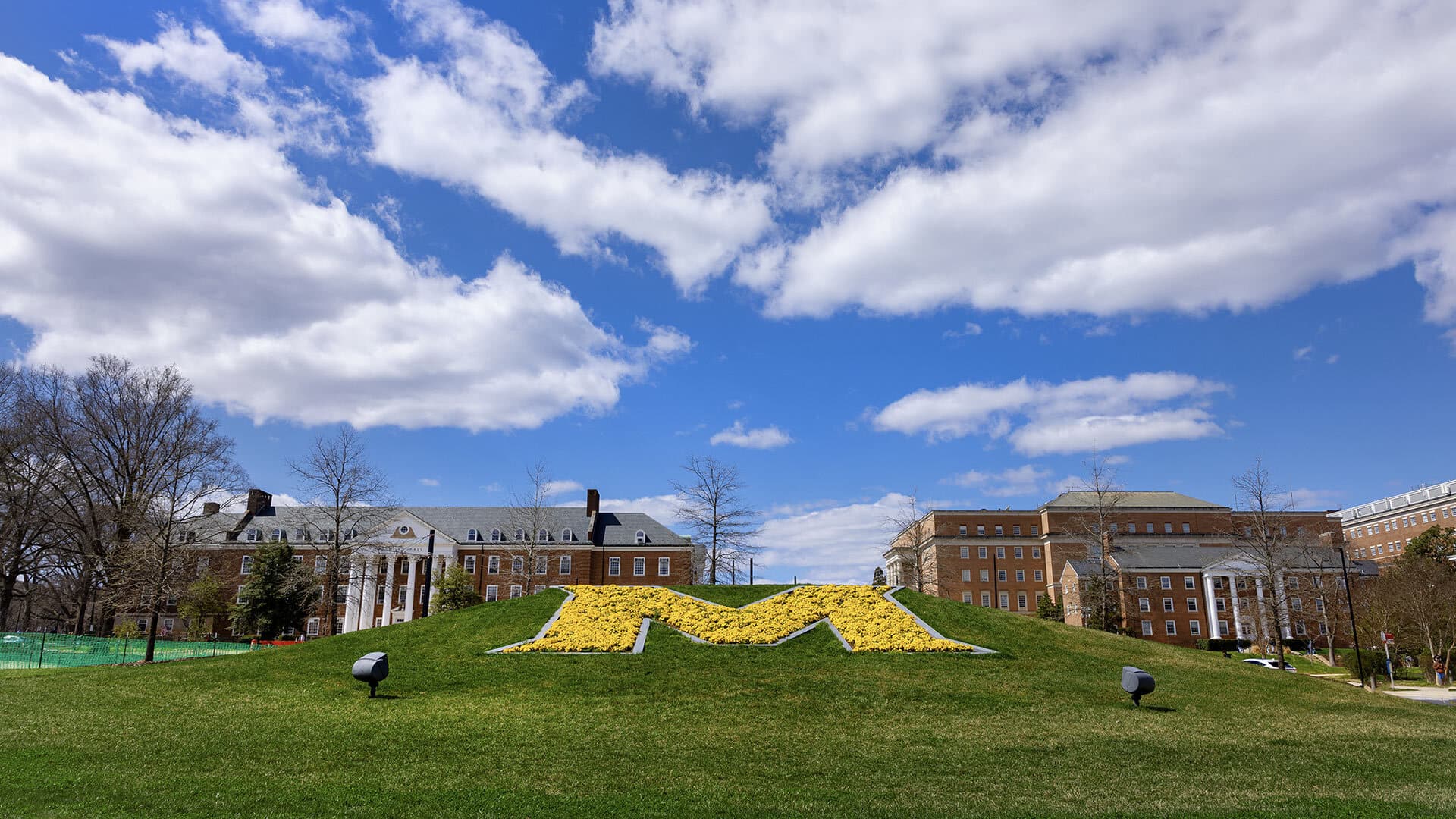 Maryland Today UMD Graduate Programs Rank Highly In Latest U S maryland-today-umd-graduate-programs-rank-highly-in-latest-u-s