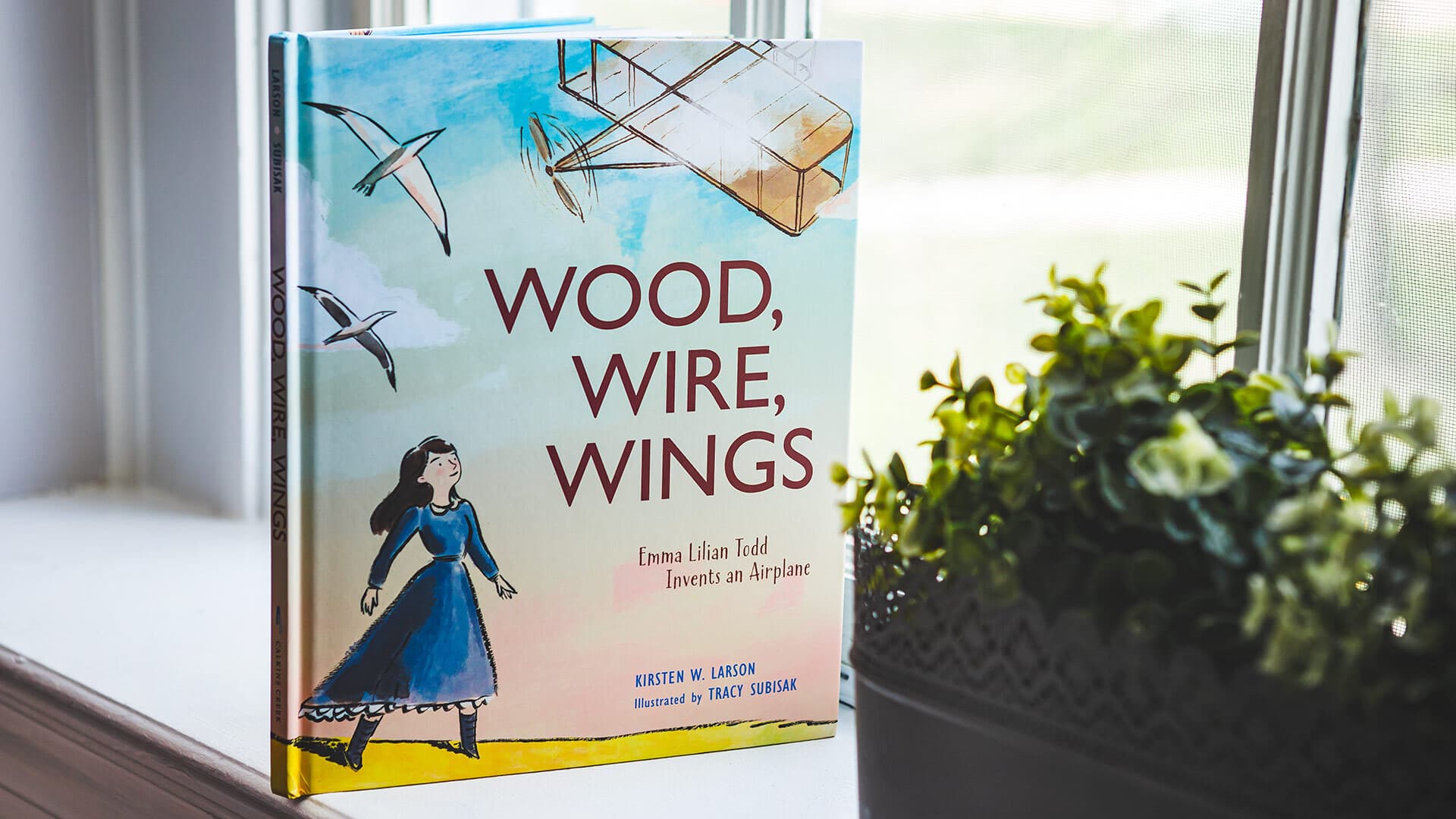 "Wood, Wire, Wings" book cover