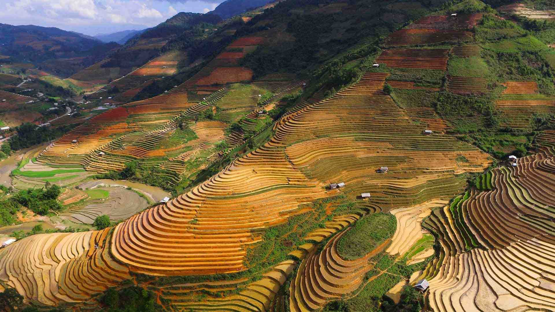 Aerial view of rice terraces in Chế Cu Nha, Vietnam