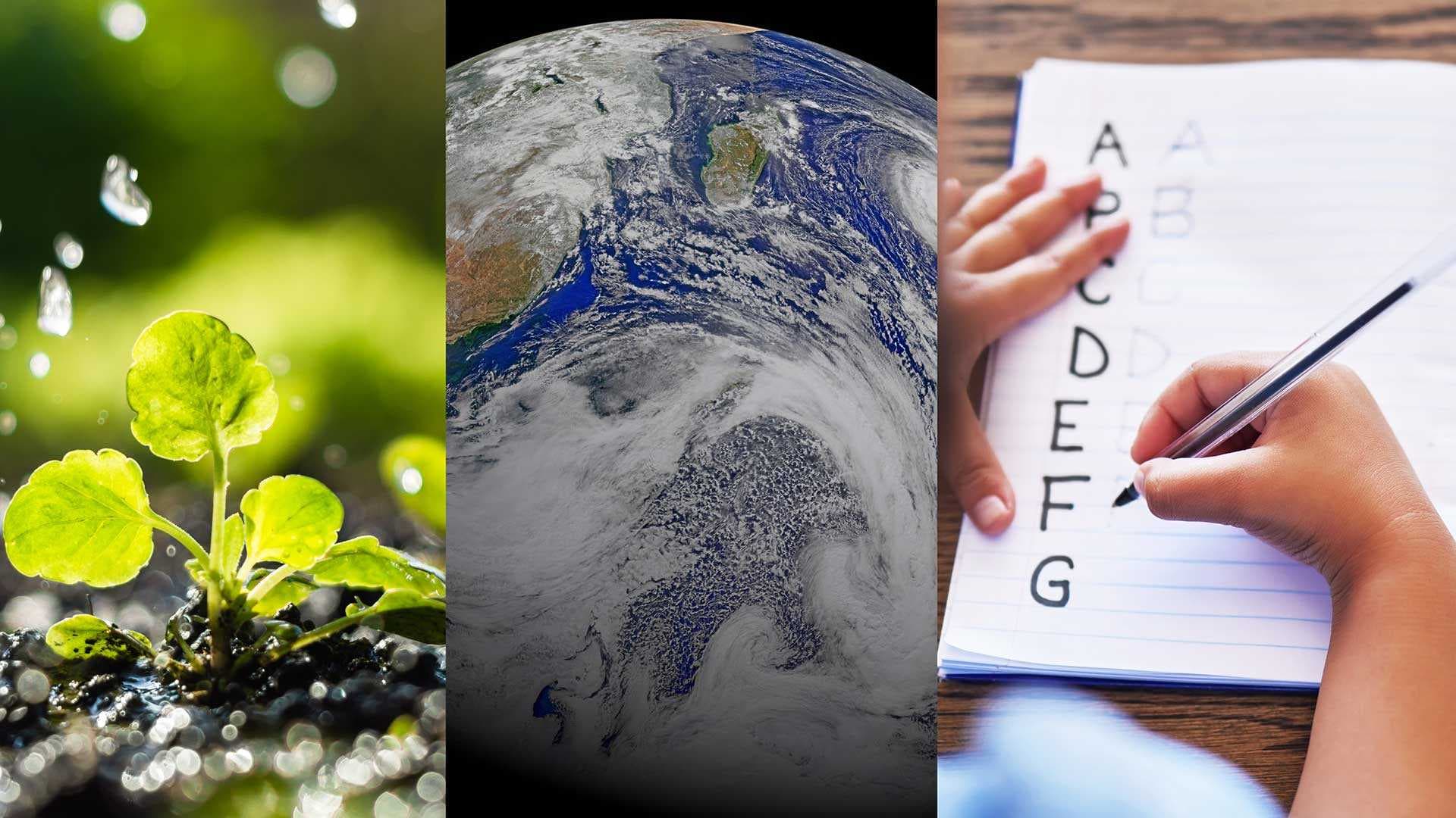 collage of green plant, the Earth, and a hand writing the alphabet