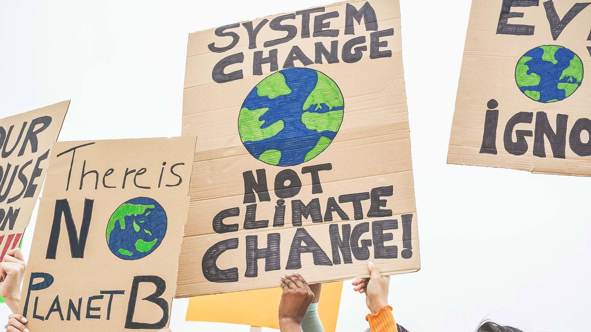 Climate change protest with sign that reads, "System change, not climate change!"