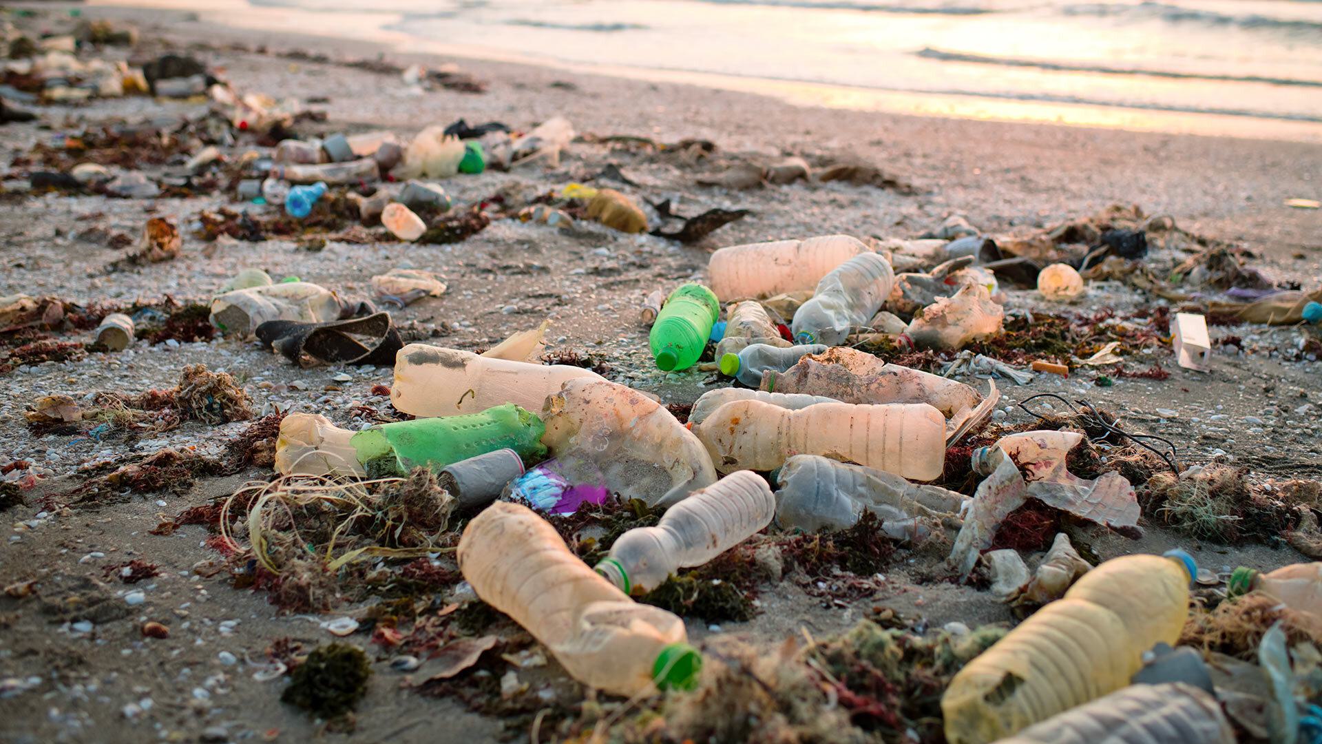 empty water bottles washed up on the shore