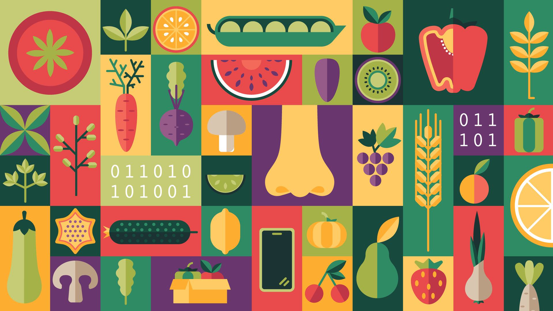 collage of produce, a nose, code and a smartphone