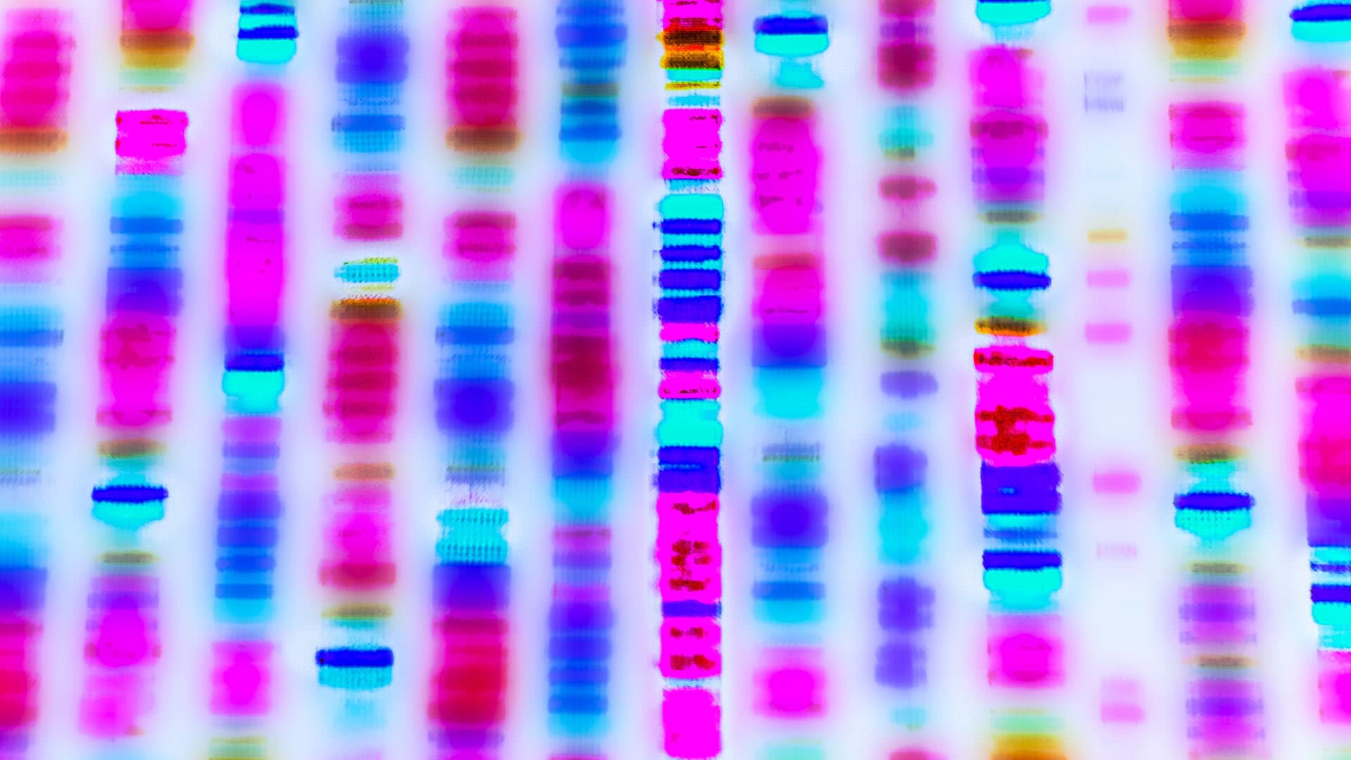 blue/pink DNA
