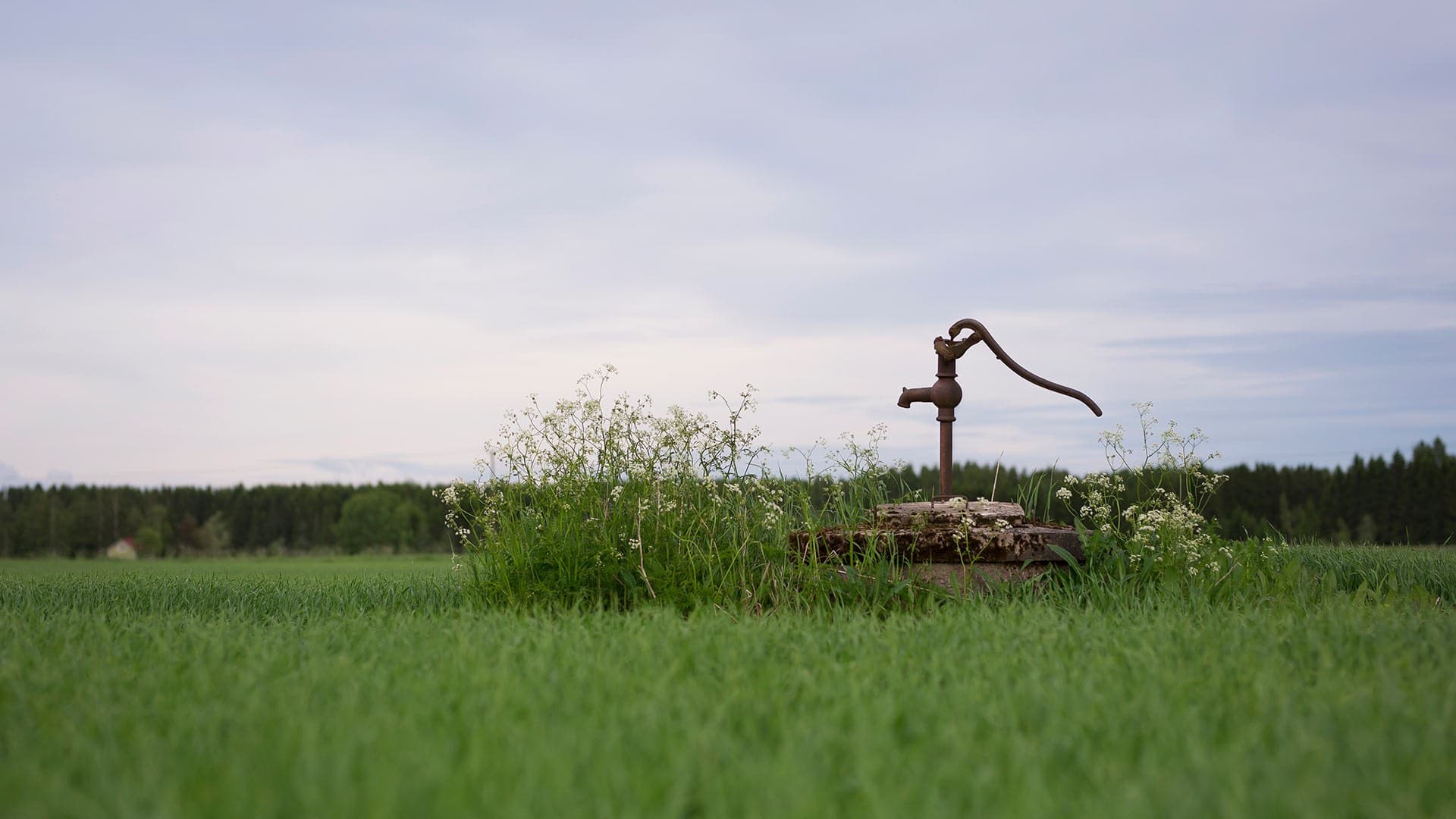 well hand pump in a field