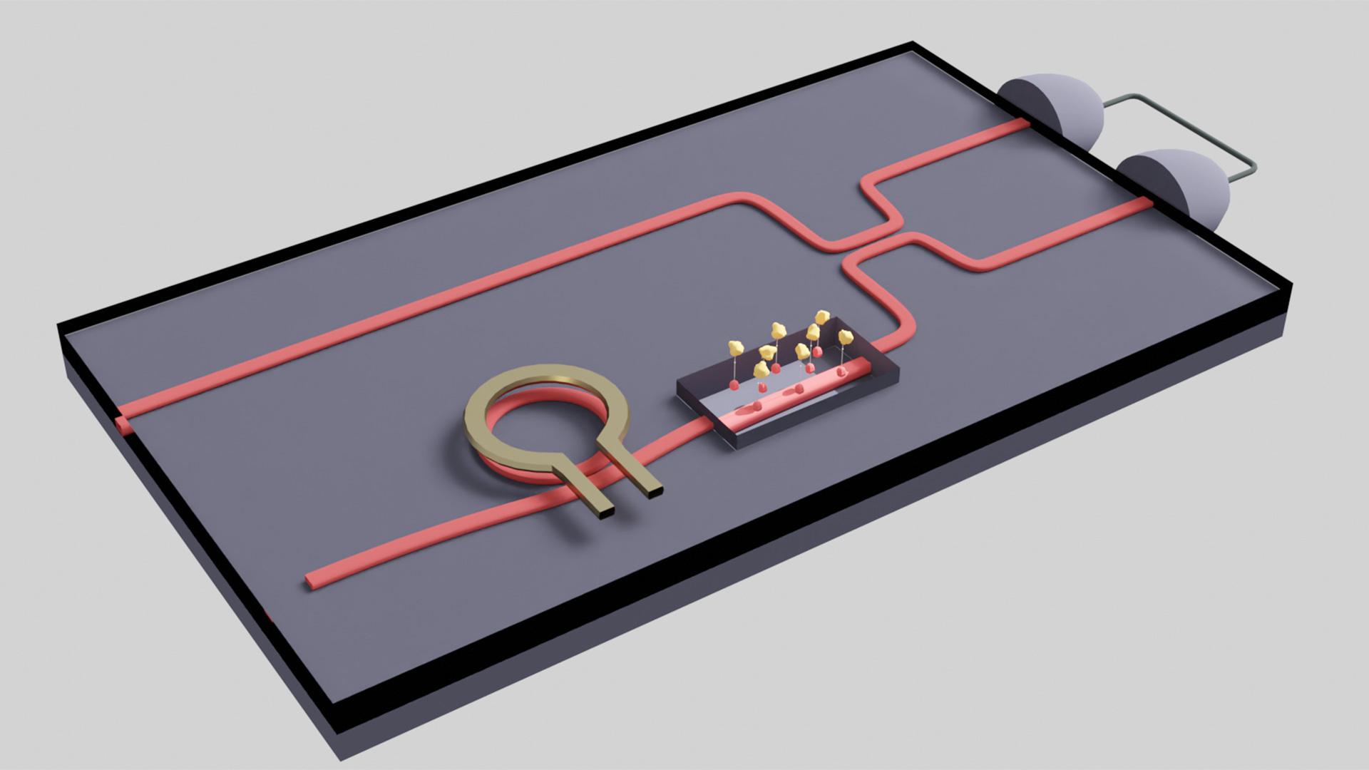 Quantum O2 Sensor Maryland Today | $1M NSF Grant Supports Development of Quantum Sensors