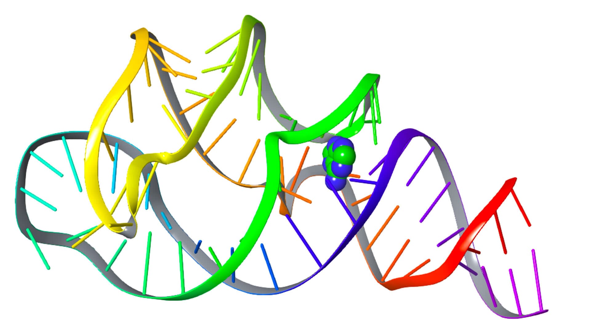 A protein molecule illustration