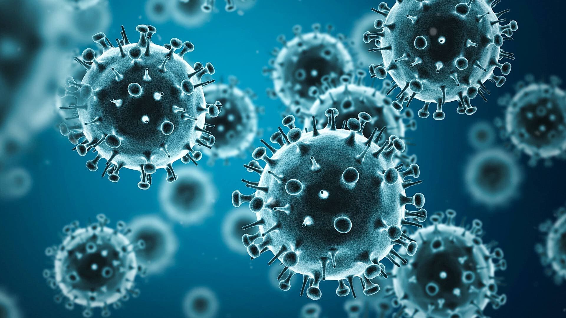 Illustration of flu viruses