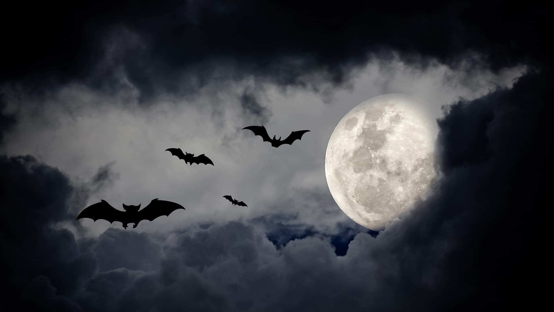 Bat silhouettes flying against a cloudy full moon