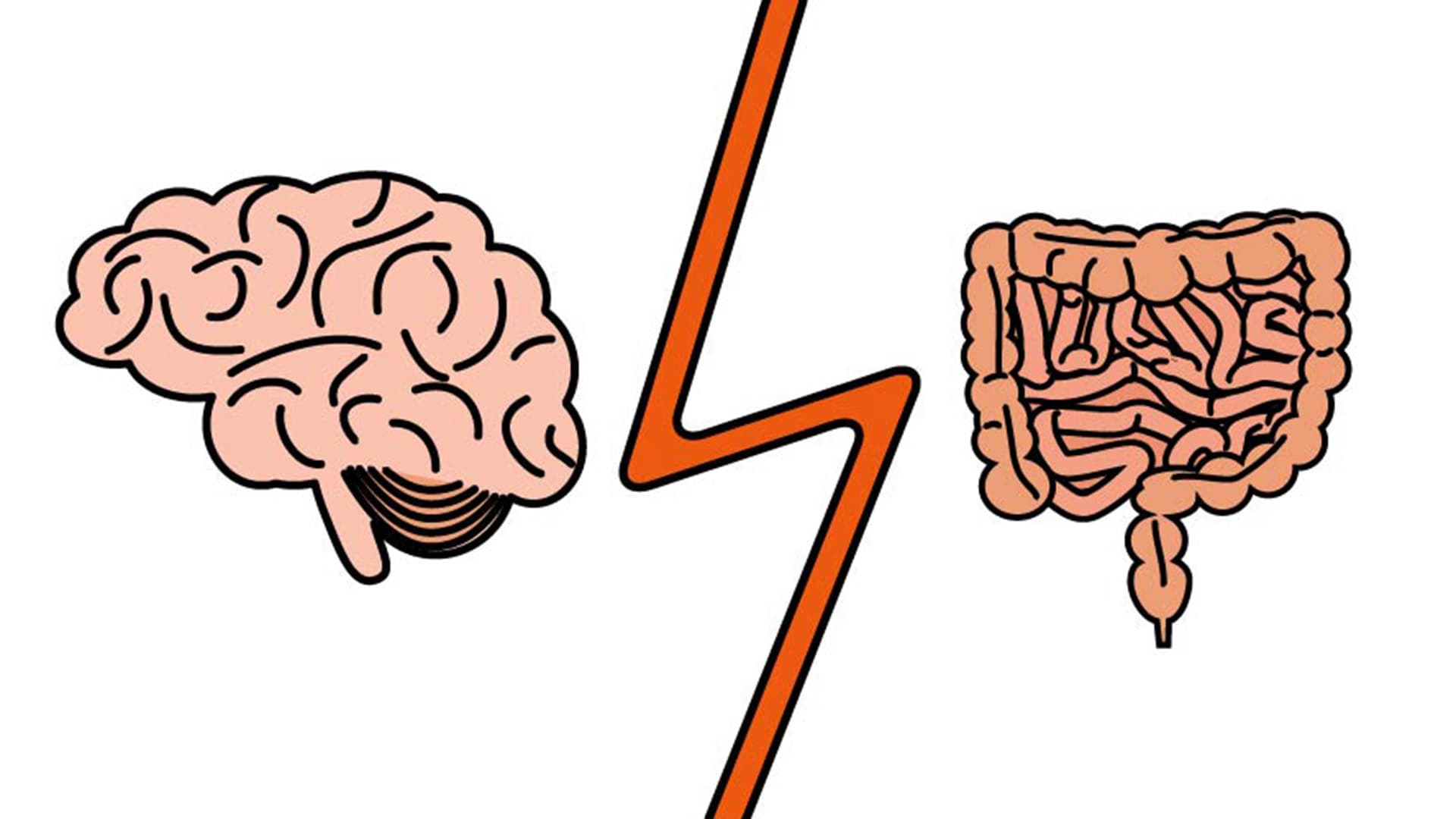 Illustration of brain and intestine