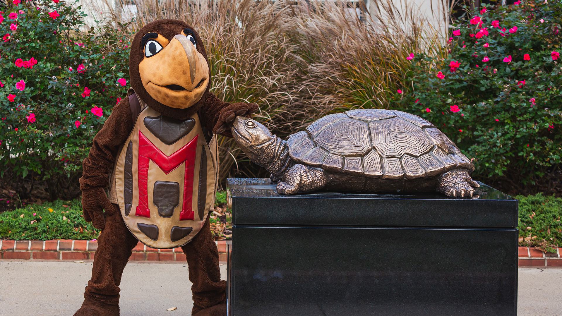 Mascot Testudo rubs bronze Testudo's nose