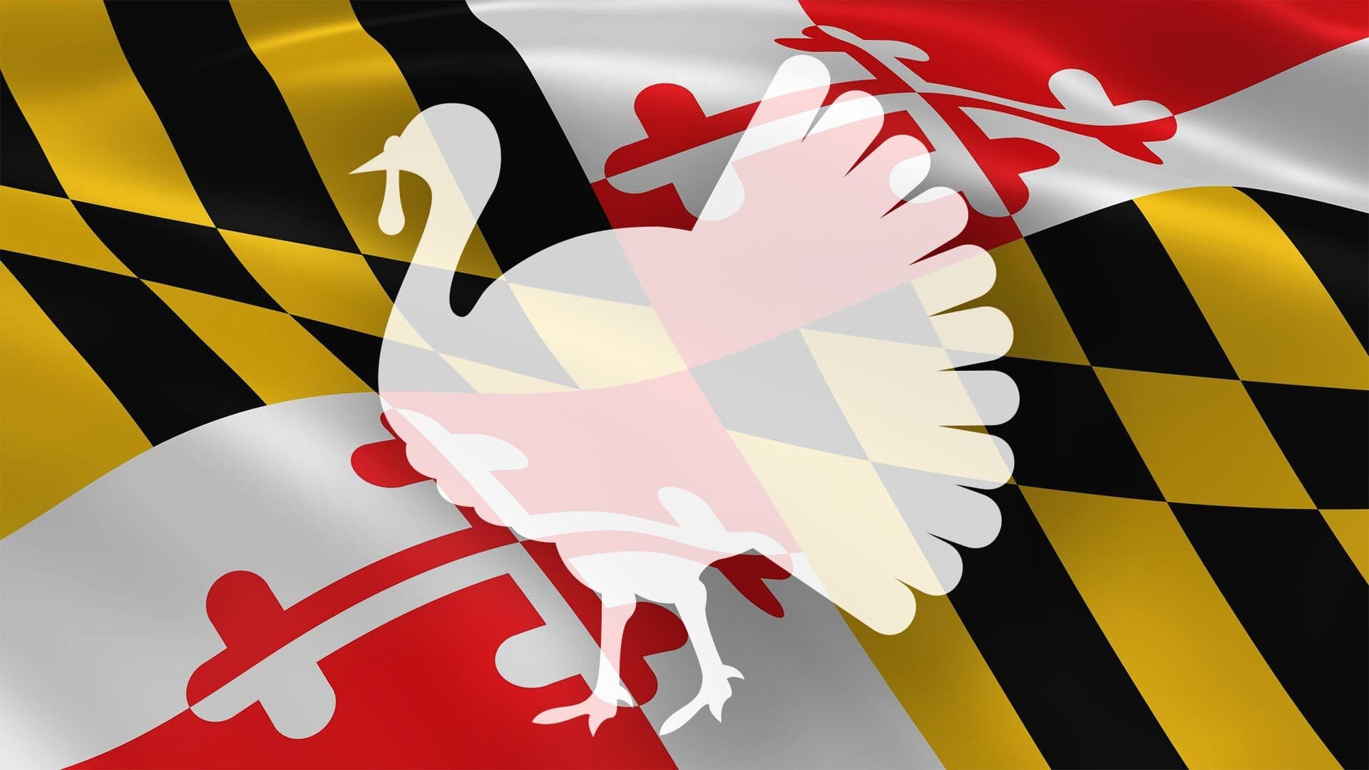Silhouette of a turkey on a Maryland flag background