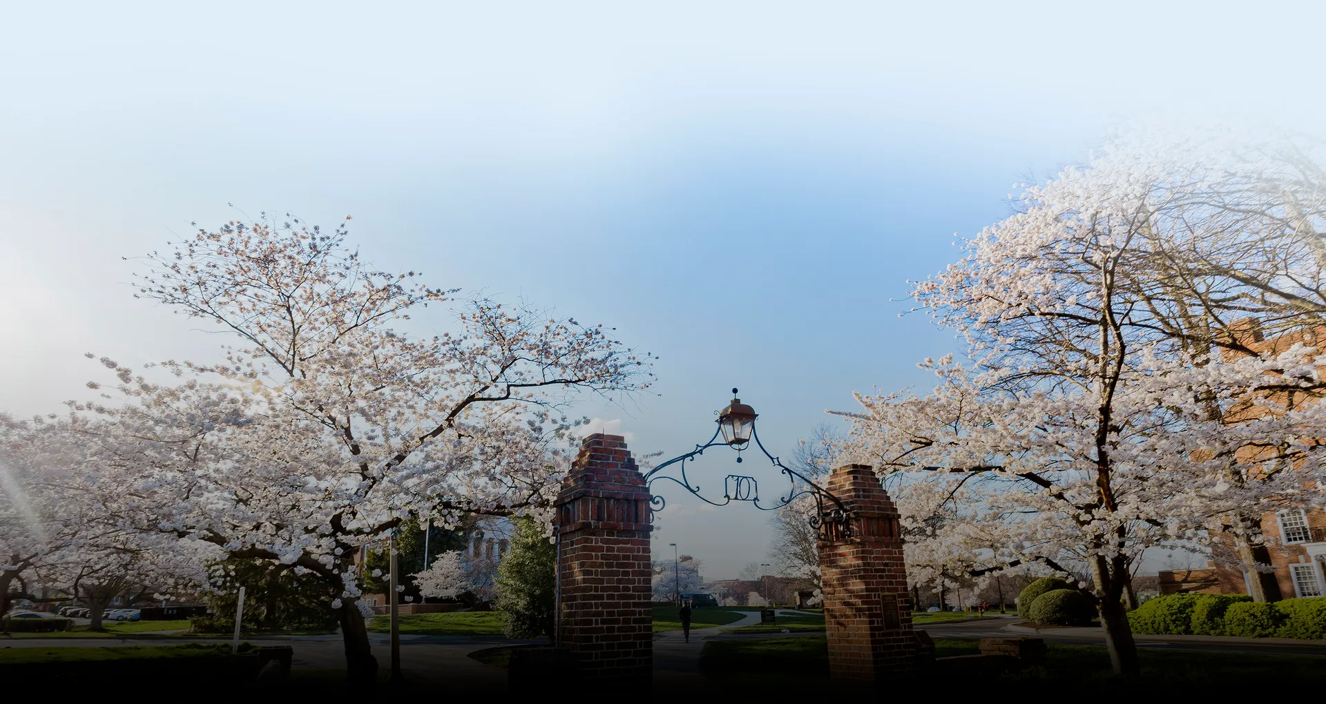 Canโt Put Down That Doughnut? Scientists Haveโฆ | Maryland Today