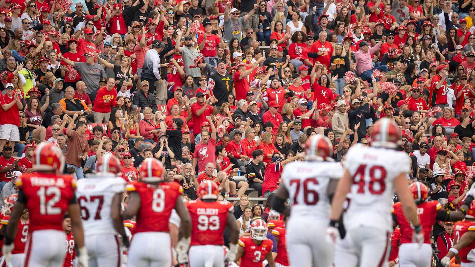 fans cheer the action on the field from the stands