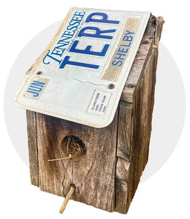 TERP license plate on a birdhouse
