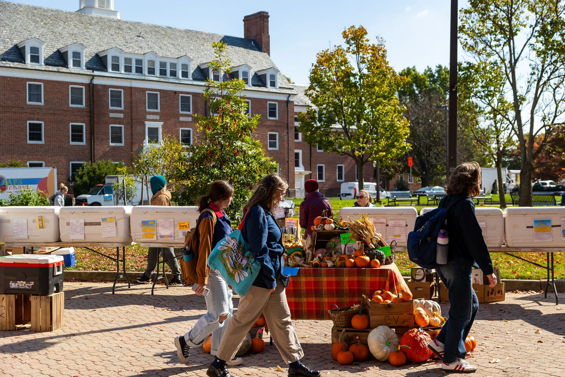 people shopping at a farmer's market