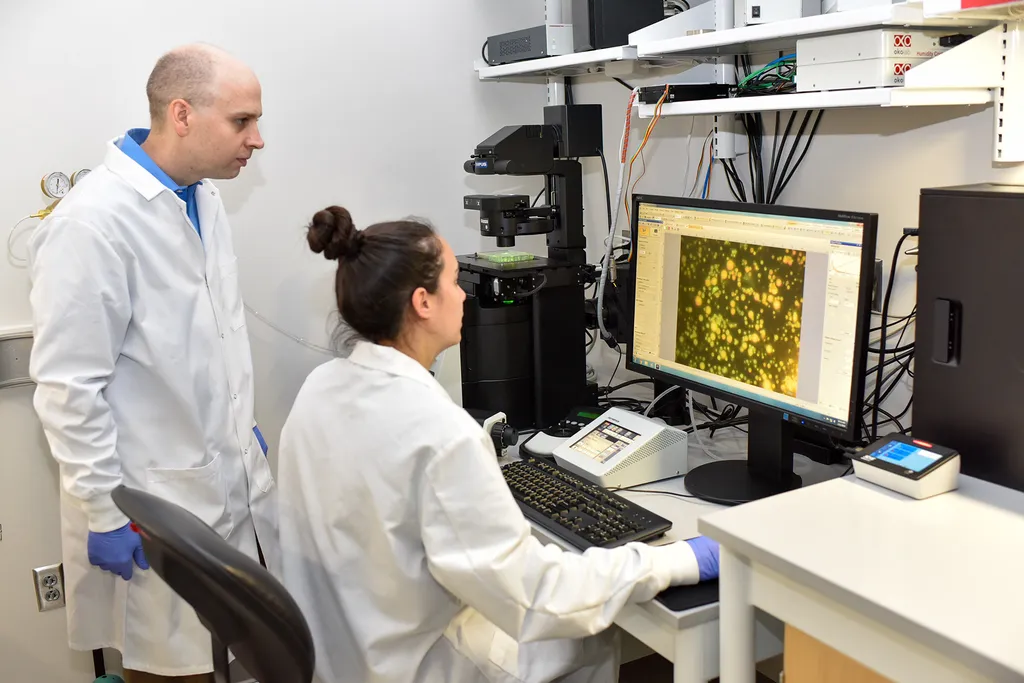 Christopher M. Jewell and fellow researcher look at image on computer