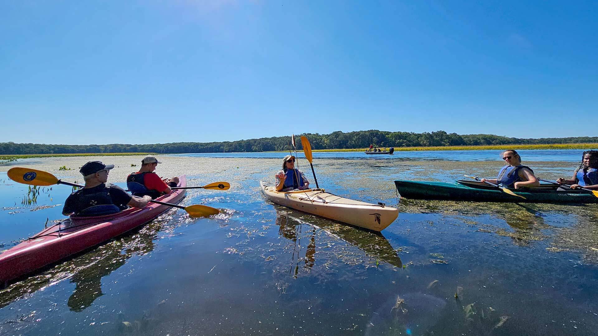 People in kayaks