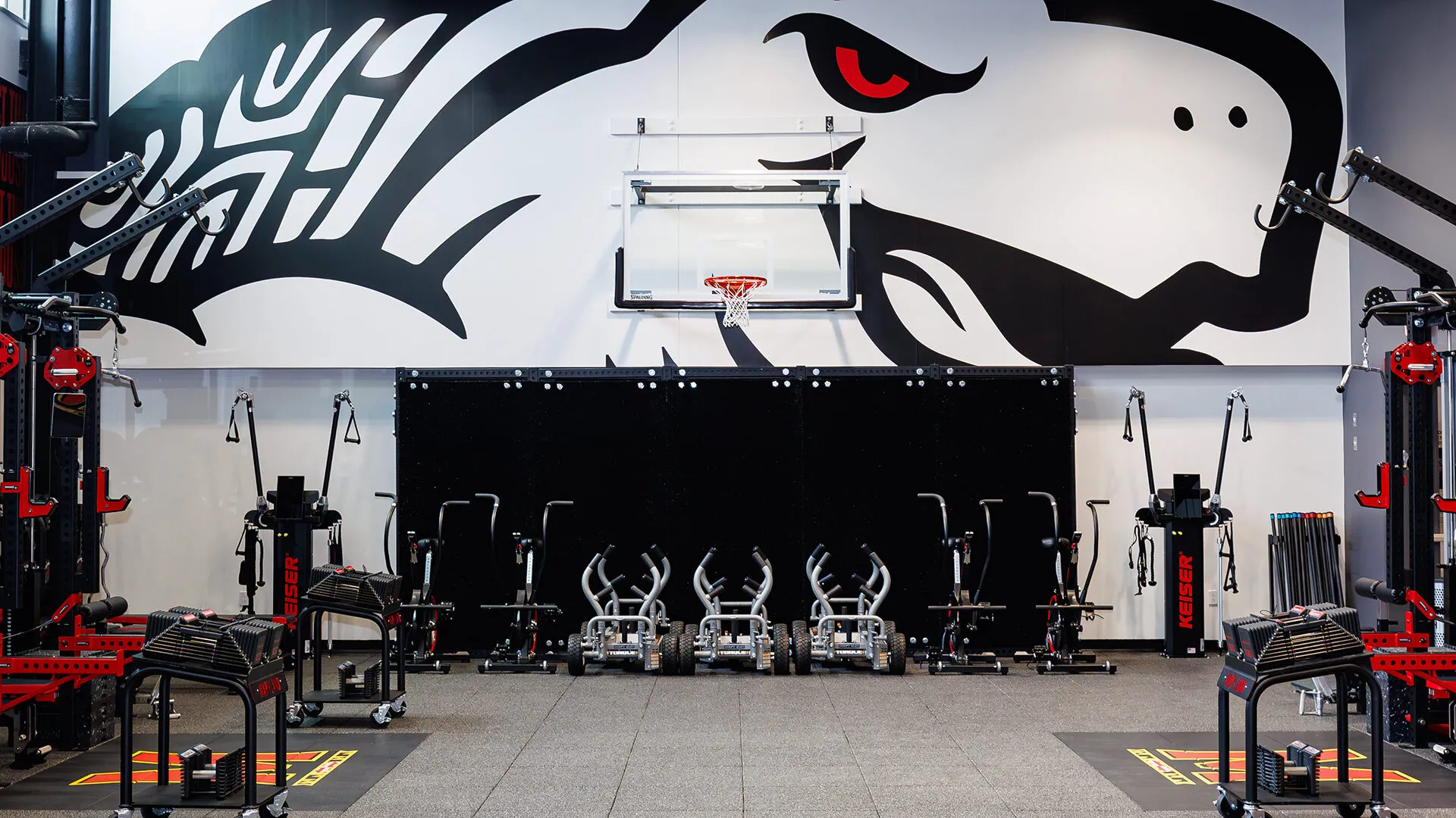 Sanders Family Strength and Conditioning Room