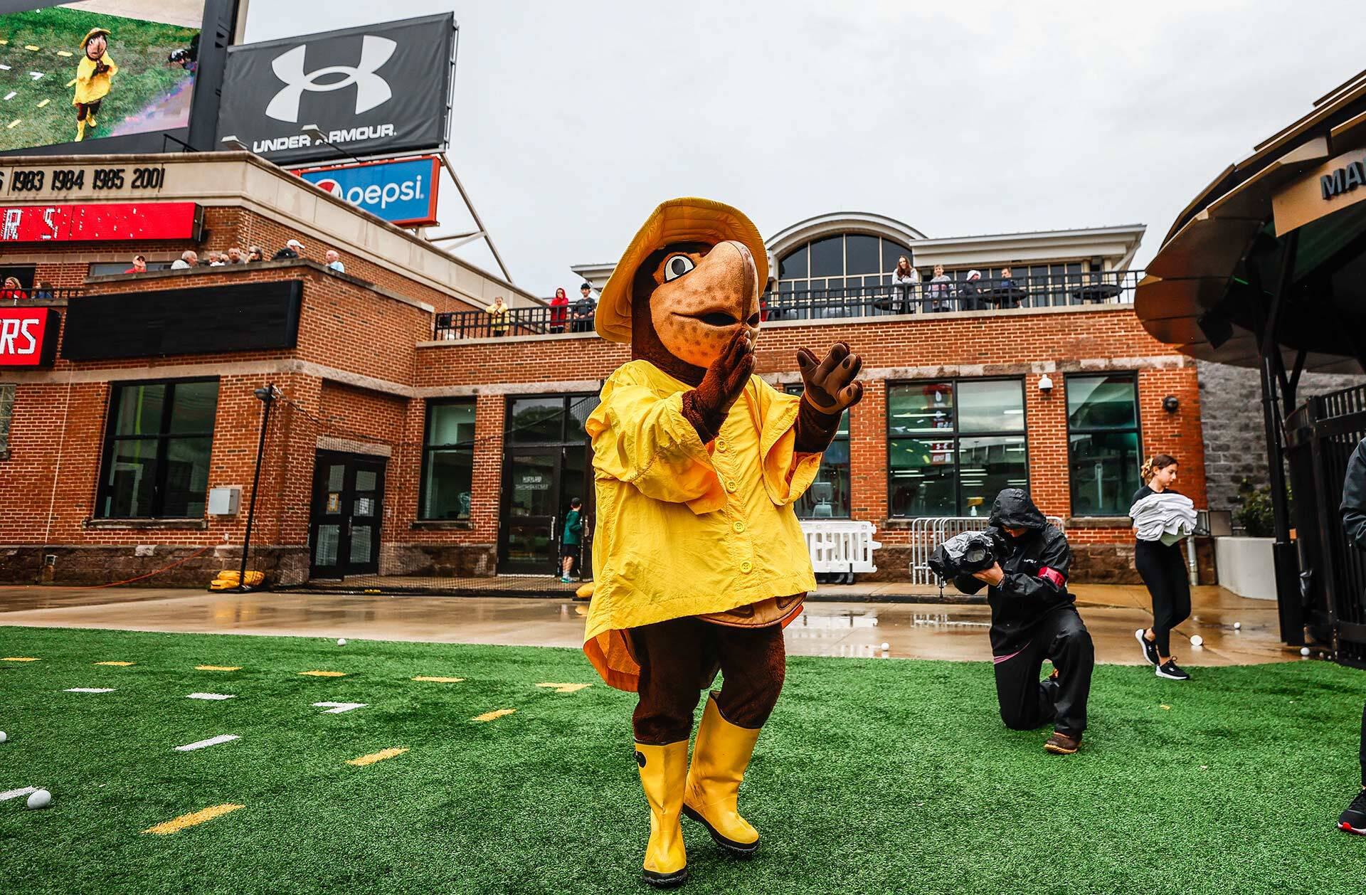 Testudo wearing yellow rain jacket on field