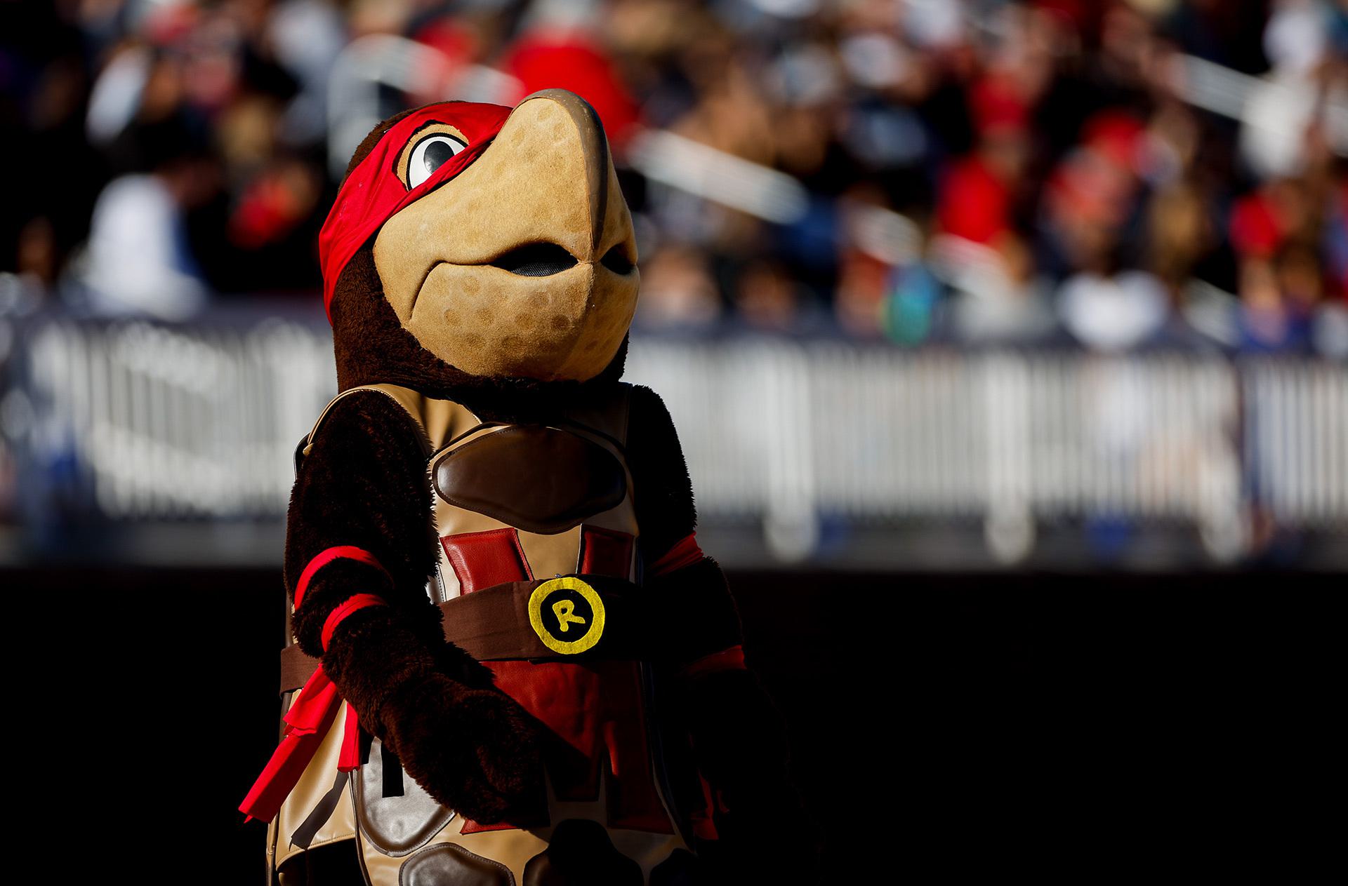Testudo dresses up as ninja turtle
