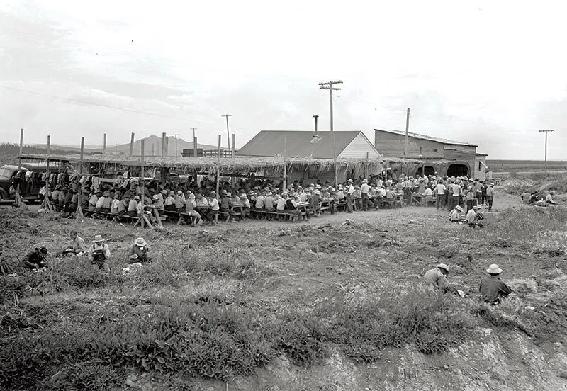 Workers from the Tule Lake farm eat lunch