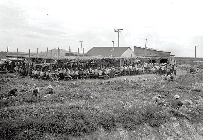 Workers from the Tule Lake farm eat lunch