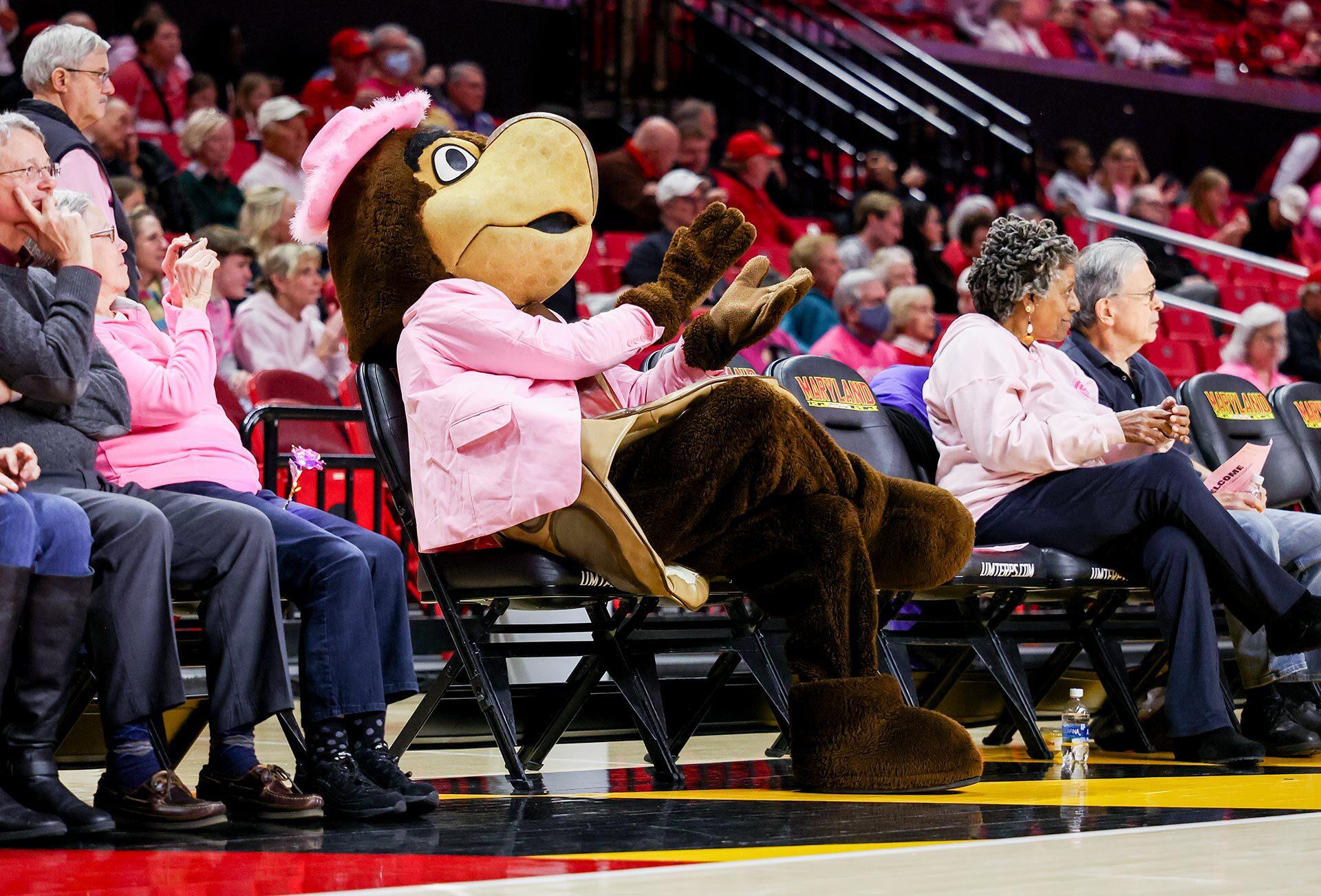 Testudo wears pink blazer while clapping in the stands at basketball game