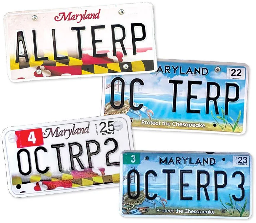 ALLTERP, OC TERP, OCTRP2 and OCTERP3 license plates