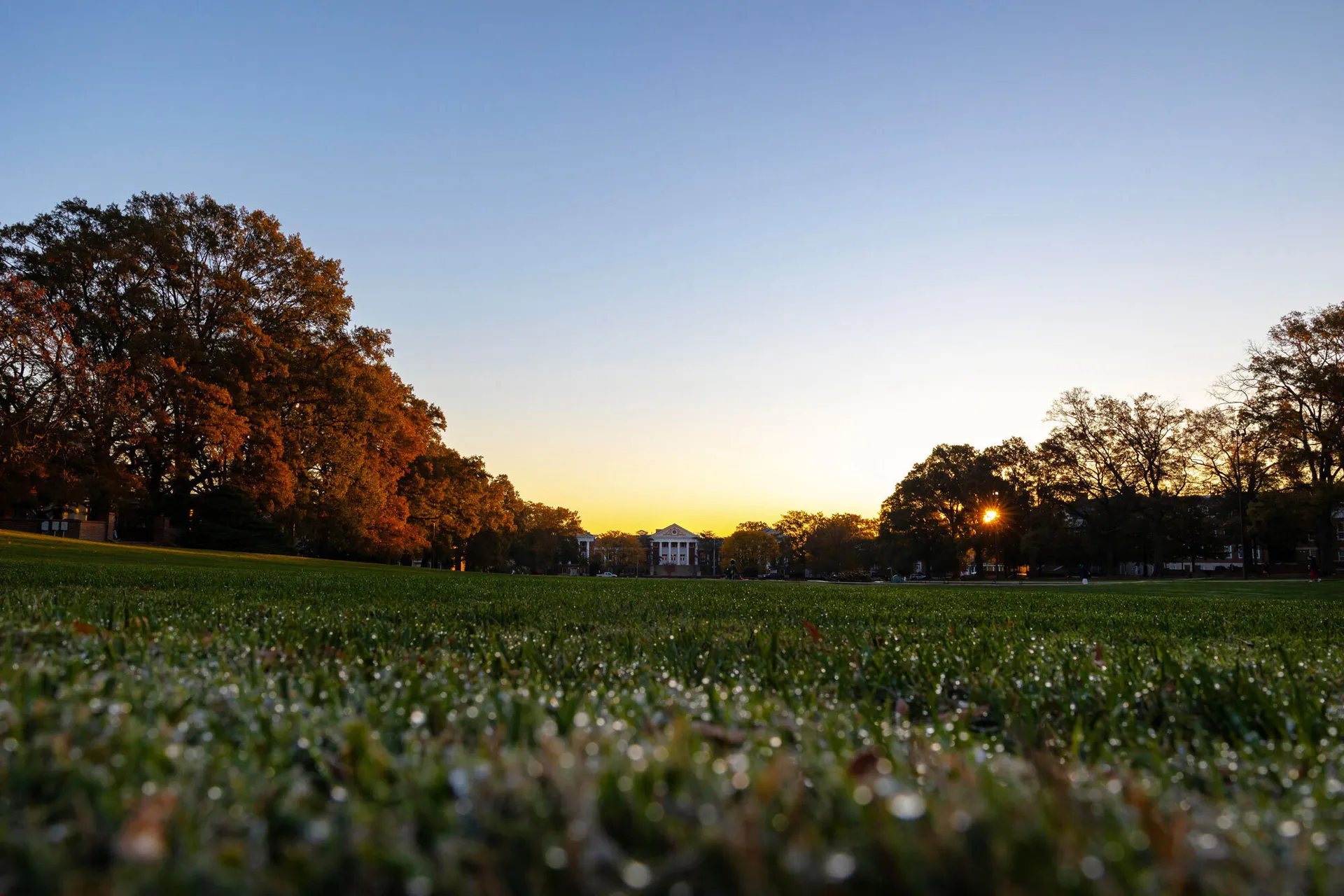 sunset view on McKeldin Mall