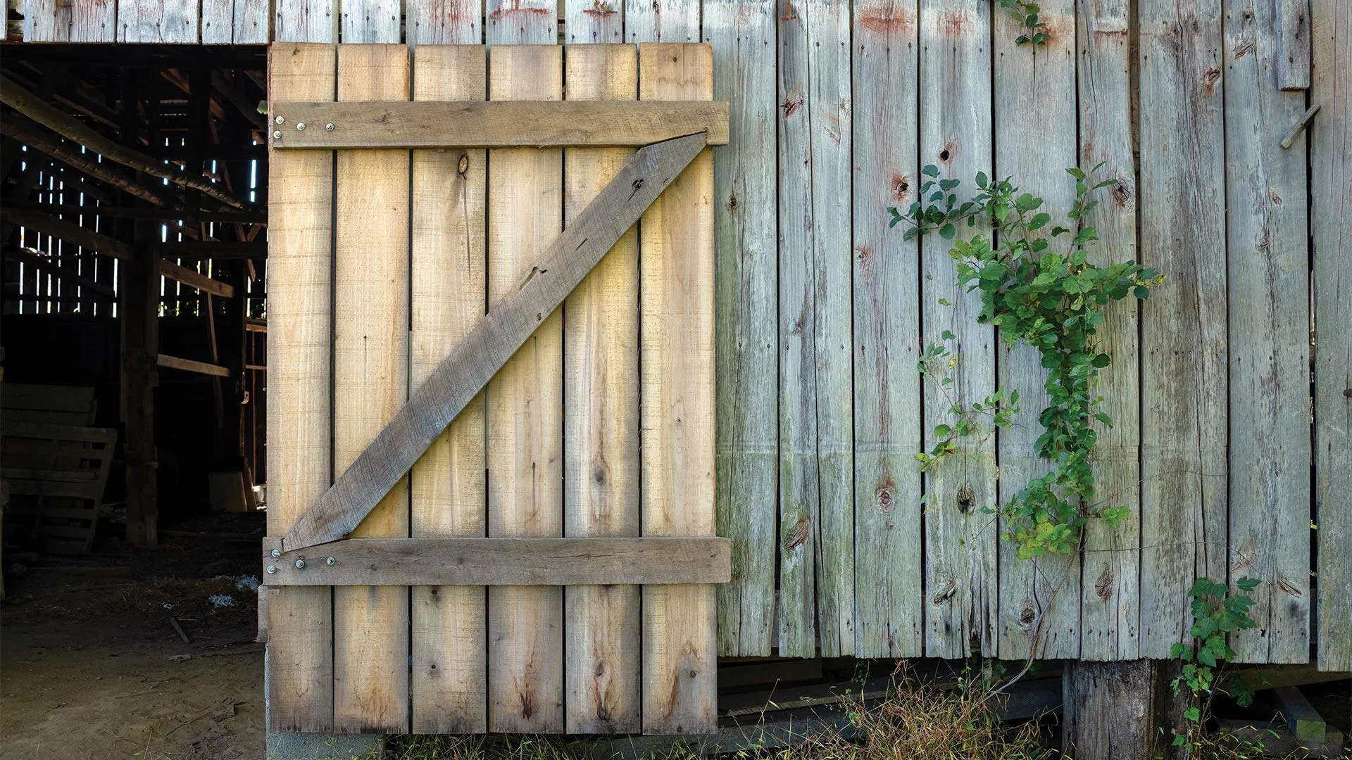door opens to tobacco barn