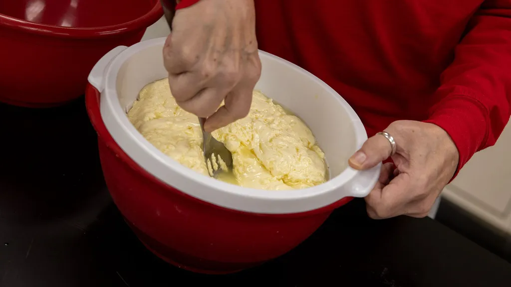mozzarella