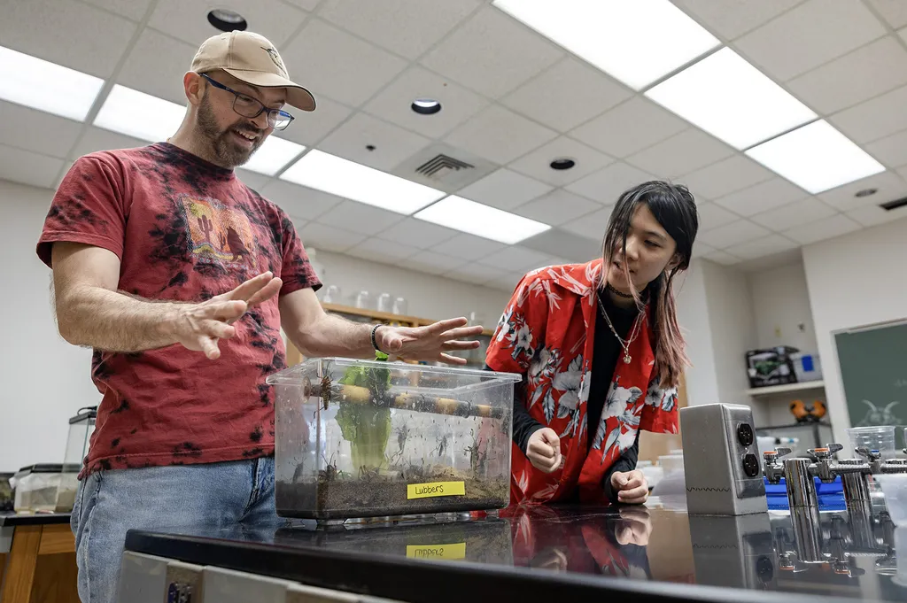 Todd Waters and Julia Chan look at a plastic box with Lubber grasshoppers
