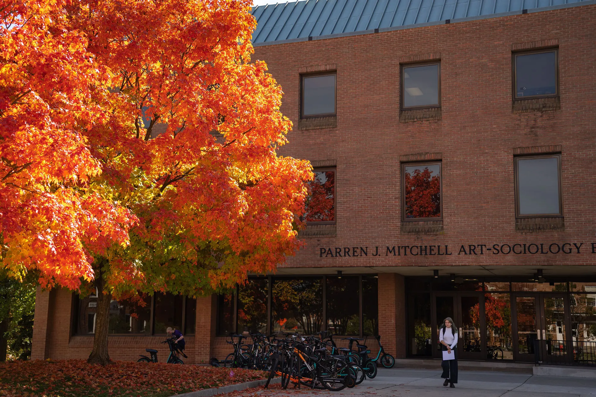 a bright orange tree by the art-sociology building