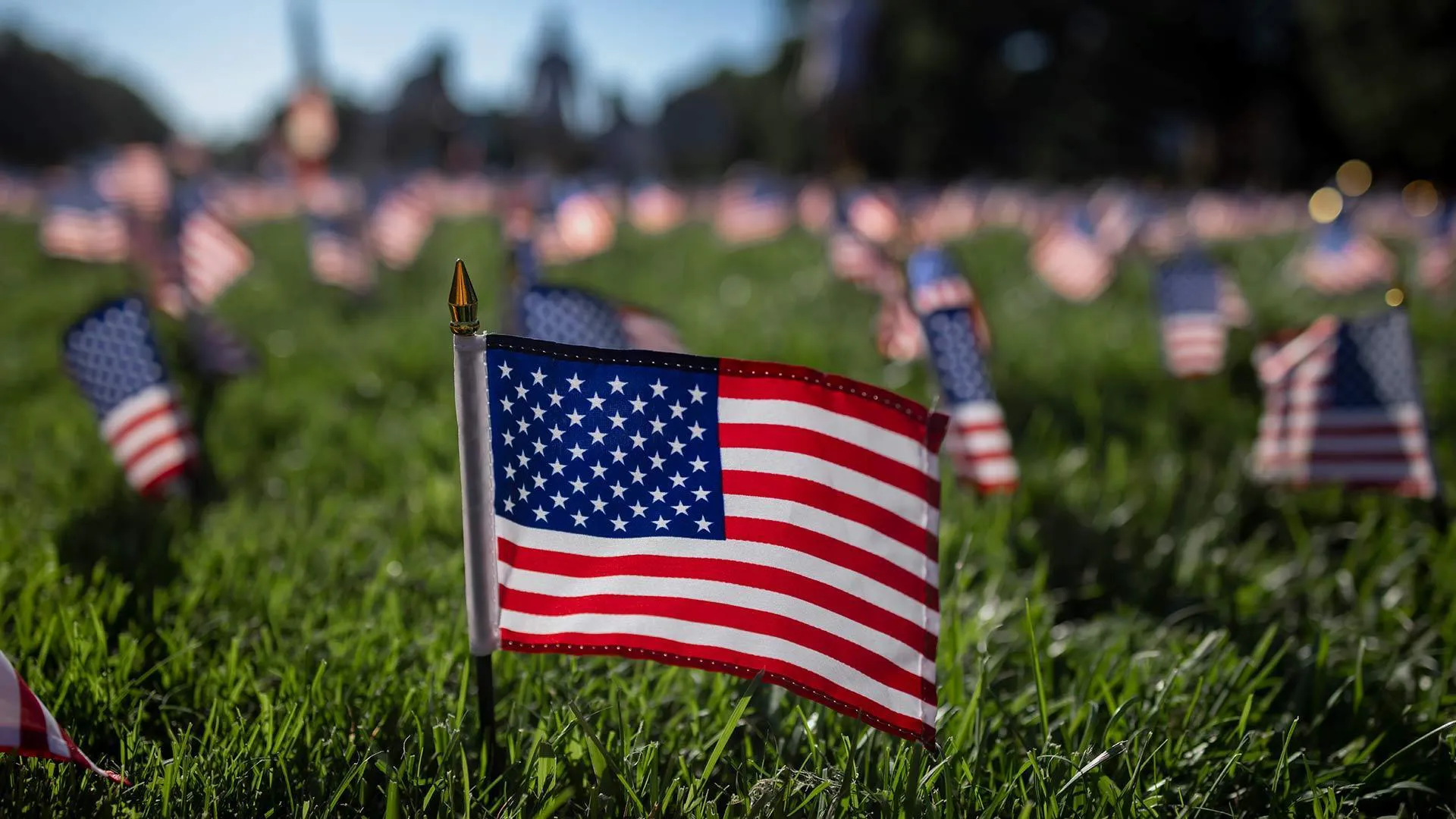 close up of tiny flag on McKeldin