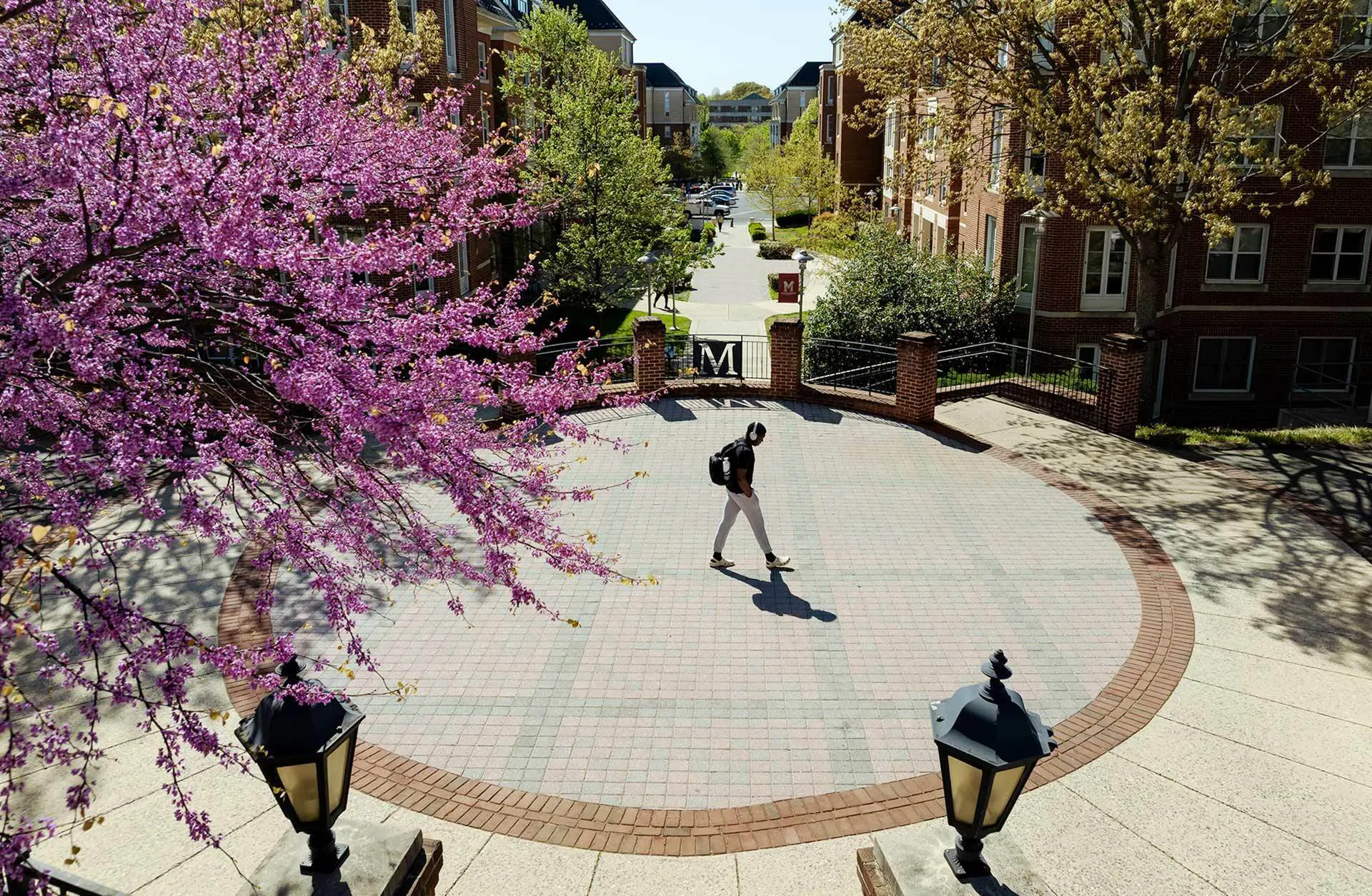 aerial view of M Gate on South Campus Commons, with flowering trees