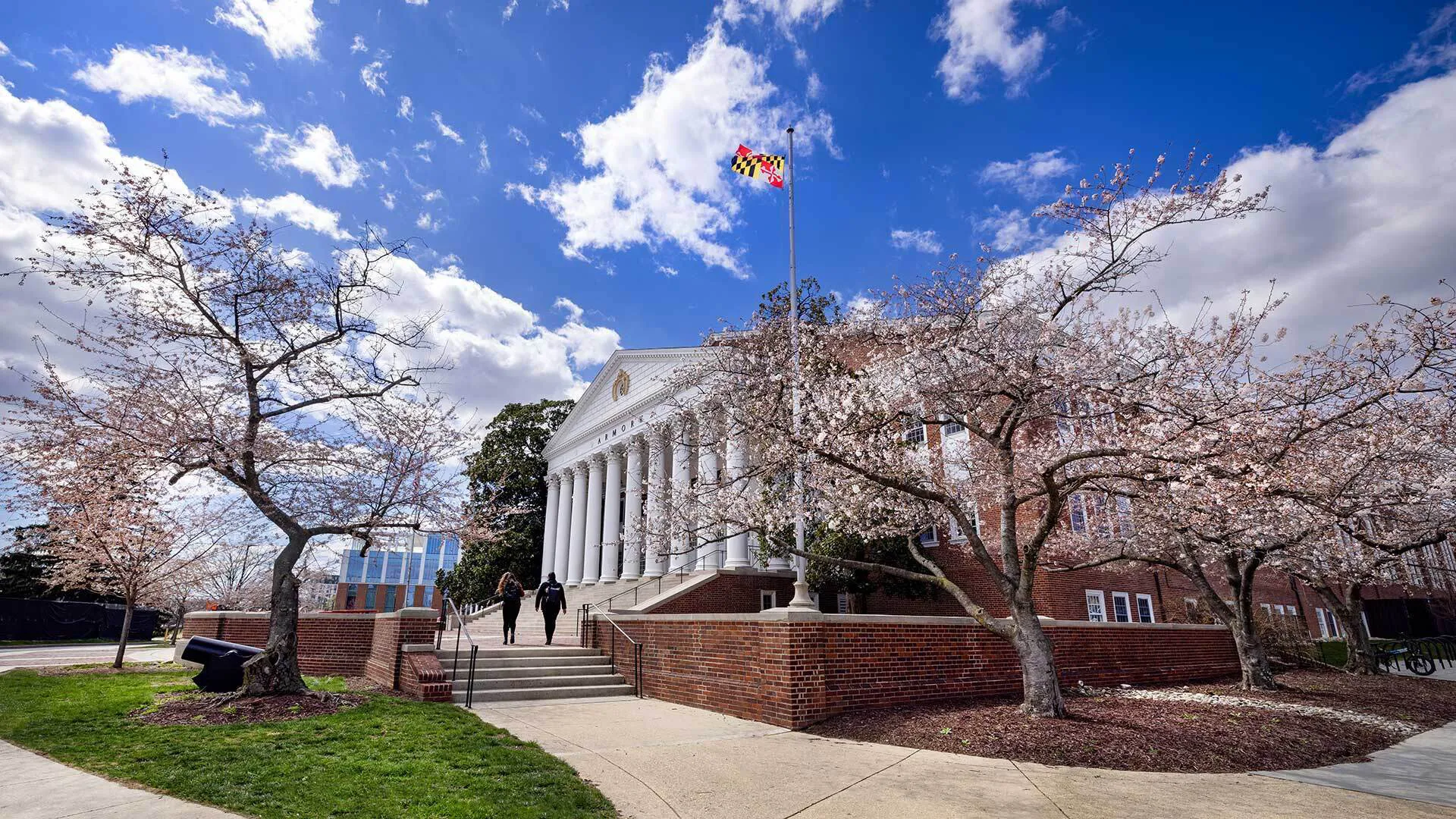 cherry blossom trees and Maryland flag outside Reckord Armory