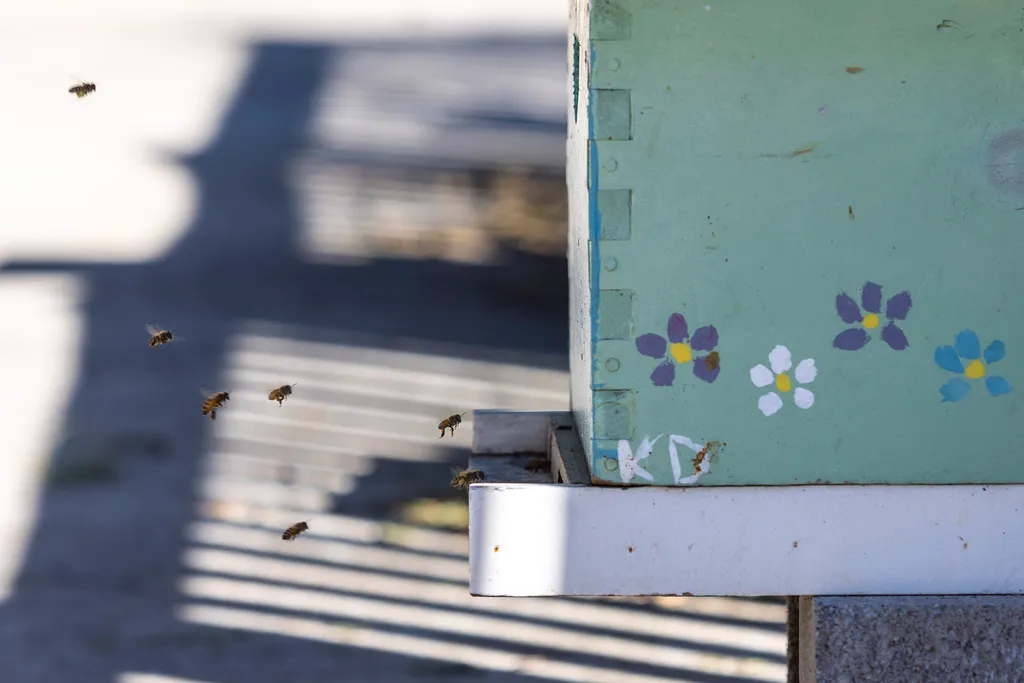 Bees fly around a light blue hive painted with purple, white and blue flowers