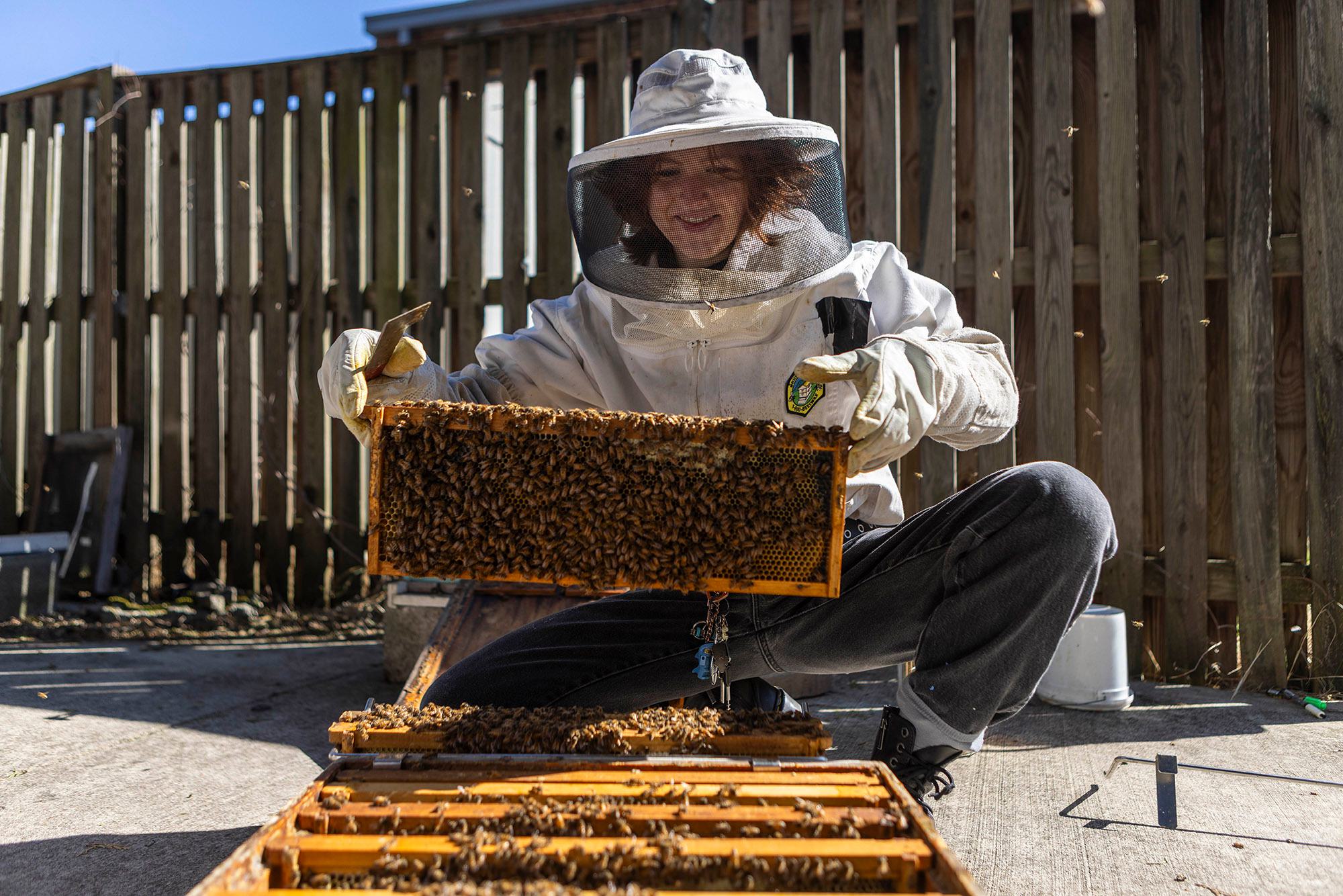 Lila Wilson crouches and holds a frame of bees while wearing a bee suit