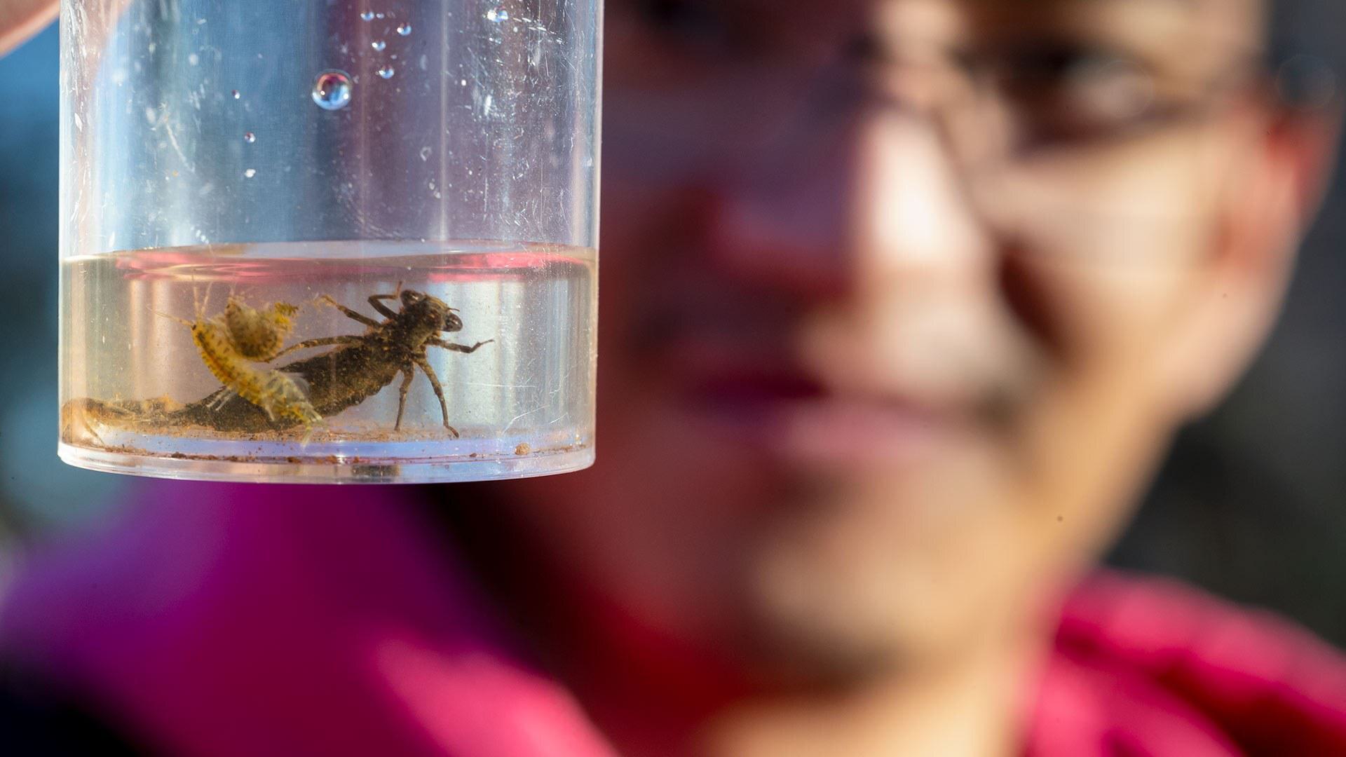 closeup of student holding bugs in a jar