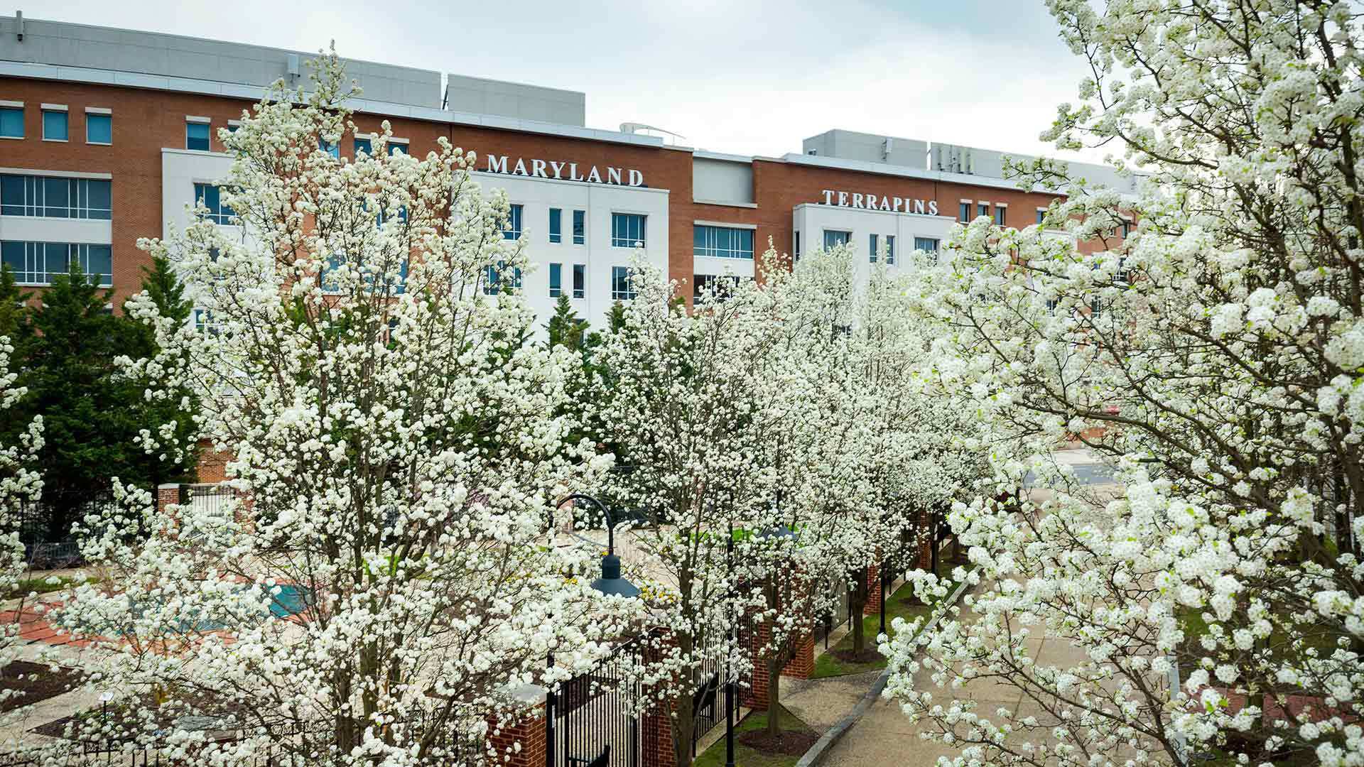 Campus 03202020 SC 0174 1920x1080