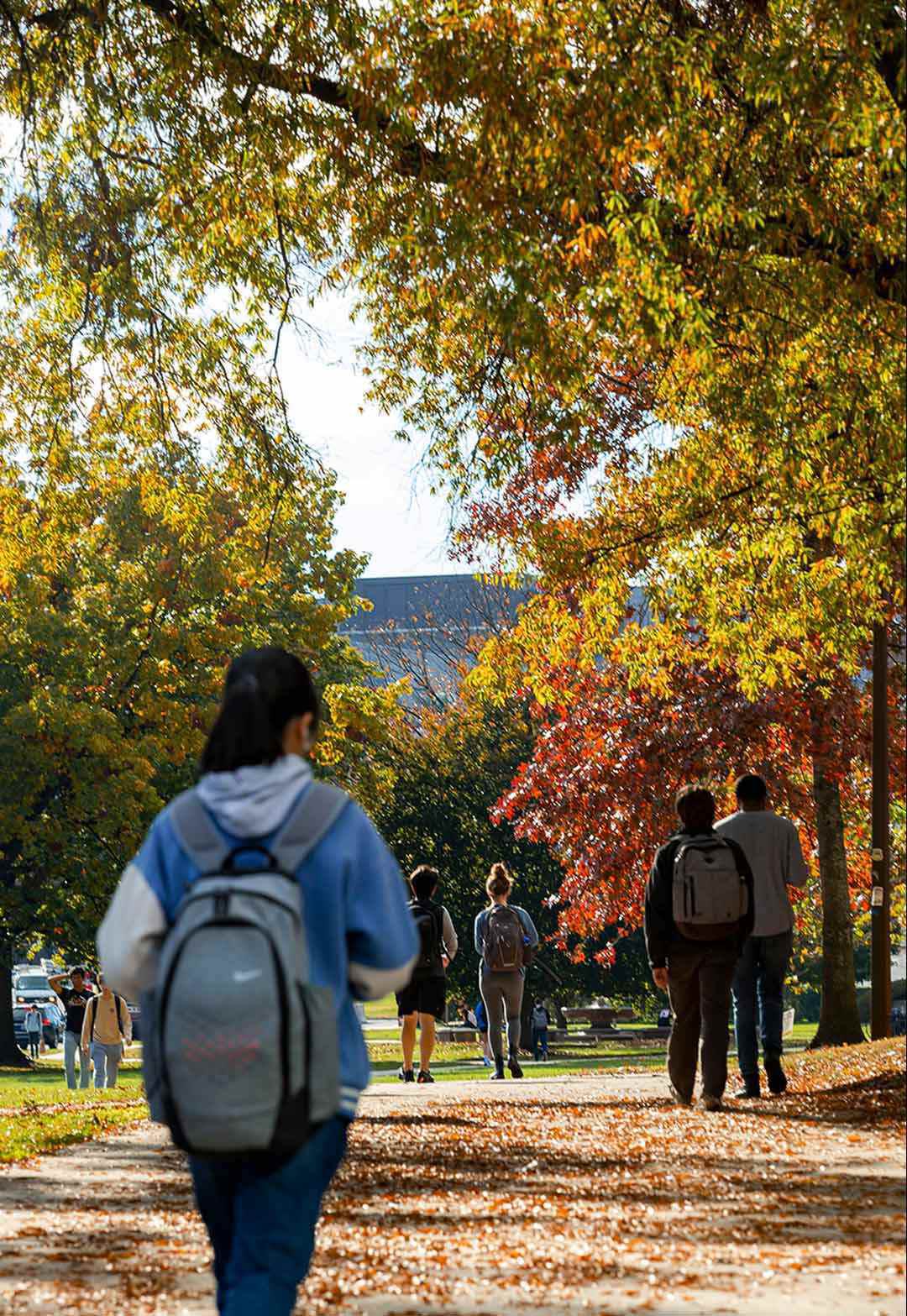students walk near Kirwan Hall