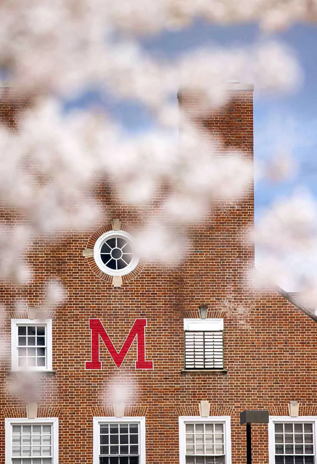 Cherry blossoms near Turner Hall