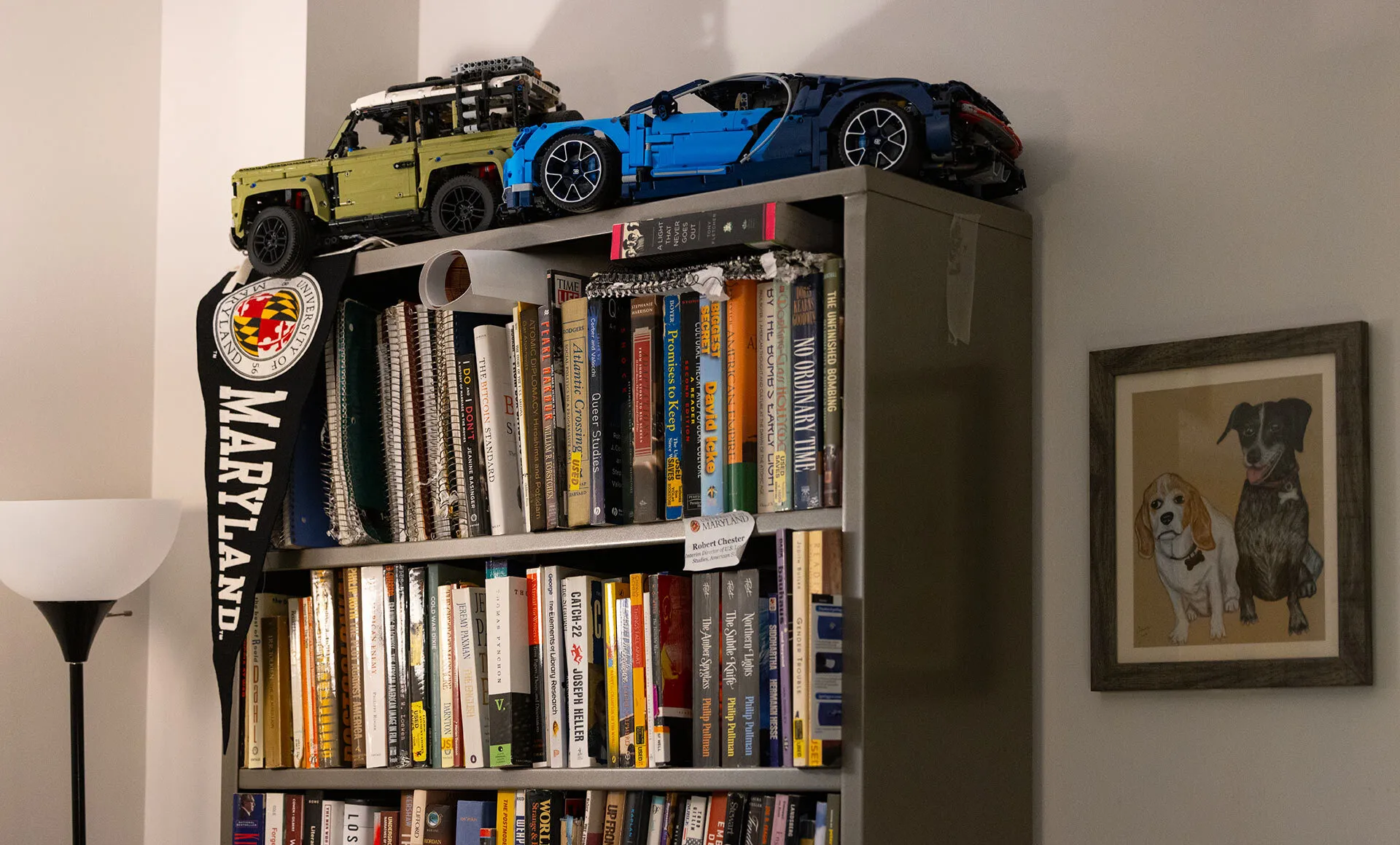 Bookshelf with Maryland pennant and Lego cars on top, illustration of dogs in a frame next to it