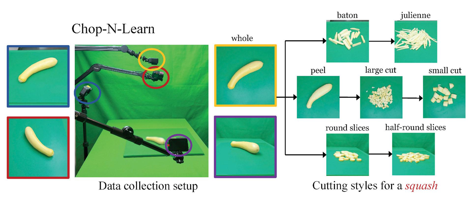 diagram of how system works, showing camera, fruits, and cut up fruits