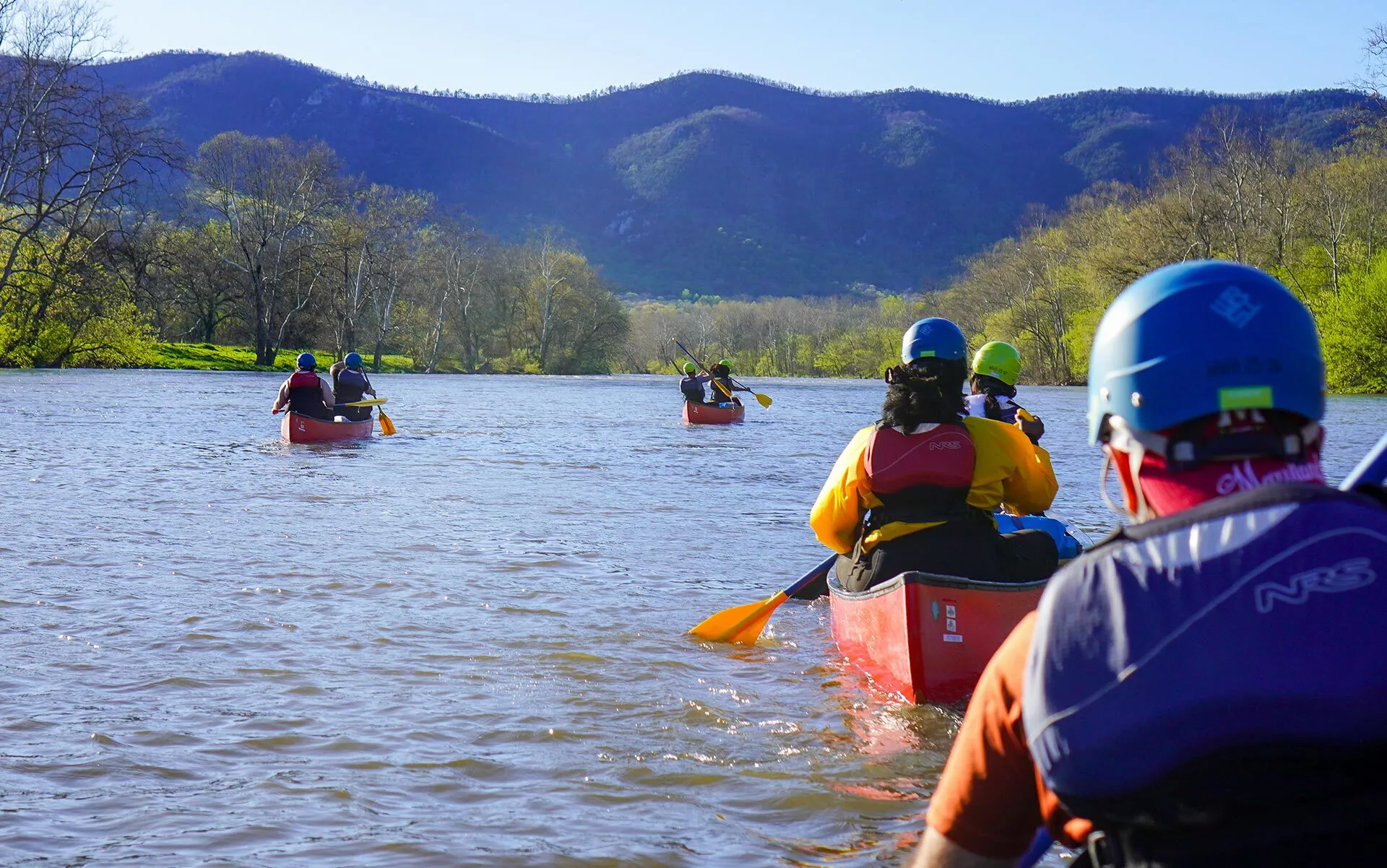 several rowers canoe on river