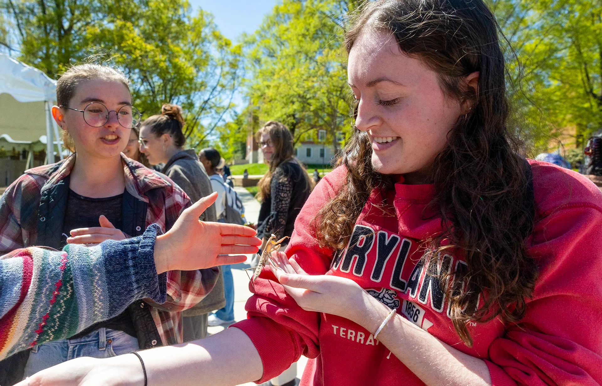 student holds praying mantis