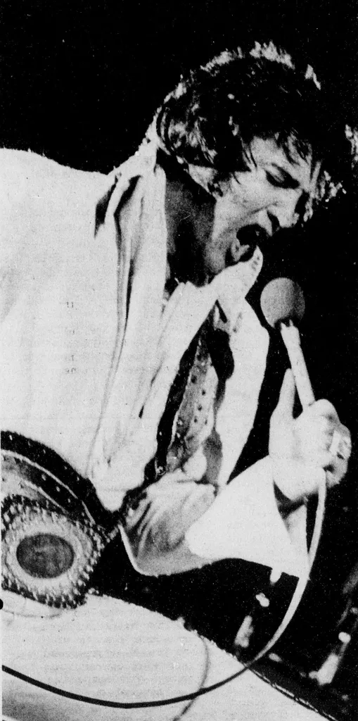 Elvis performs