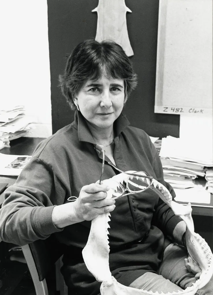 Black and white photo of Eugenie Clark holding a shark jaw bone